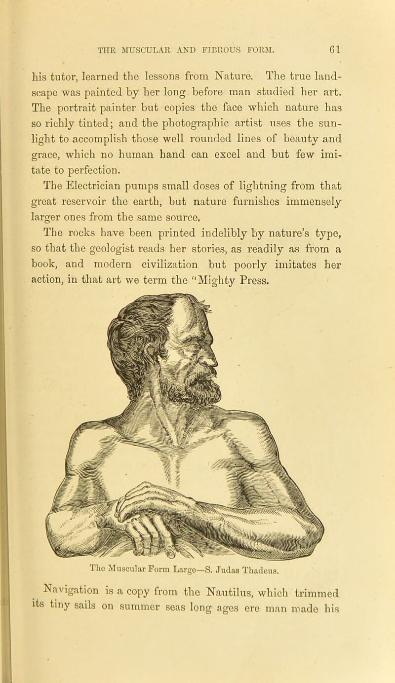 his tutor, learned the lessons from Nature. The true land- scape was painted by her long before man studied her art. The portrait painter but copies the face which nature has so richly tinted; and the photographic artist uses the sun- light to accomplish those well rounded lines of beauty and grace, which no human hand can excel and but few imi- tate to perfection. The Electrician pumps small doses of lightning from that great reservoir the earth, but nature furnishes immensely larger ones from the same source. The rocks have been printed indelibly by nature’s type, so that the geologist reads her stories, as readily as from a book, and modern civilization but poorly imitates her action, in that art we term the “Mighty Press. The Muscular Form Large—S. Judas Tkadeus. Navigation is a copy from the Nautilus, which trimmed its tiny sails on summer seas long ages ere man made his