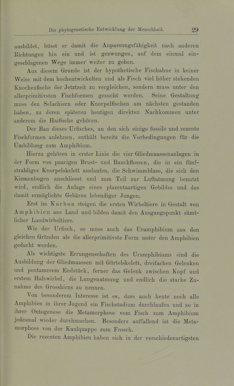 ausbildet, biisst er damit die Anpassungsfiihigkeit nach anderen llichtungen bin ein und ist gezwungen, auf dem einmal ein- o-escblao-enen Wege immer weiter zu geben. Aus diesem Grunde ist der bypotbetiscbe Fiscbabne in keiner Weise mit dem hocbentwickelten und als Fiscb viel bober stebenden Knocbenfiscbe der Jetztzeit zu vergleicben, sondern muss unter den allerprimitivsten Fiscbformen gesucbt werden. Seine Gestaltung muss den Selacbiern oder Knorpelfiscben am niichsten gestanden baben, zu deren spiiteren beutigen direkten Nachkommen unter anderem die Haifiscbe geboren. Der Bau dieses Urfiscbes, an den sicb einige fossile und rezente Fiscbformen anlebnen, entbiilt bereits die Yorbedingungen fiir die Umbildung zum Ampliibium. Hierzu geboren in erster Linie die vier Gliedmaassenanlagen in der Form von paarigen Brust- und Baucbflossen, die in ein fiinf- strabliges Knorpelskelett auslaufen, die Scbwimmblase, die sicb den Kiemenbogen anscbliesst und zum Teil zur Luftatmung benutzt wird, endlicli die Anlage eines plazentaartigen Gebildes und das damit ermoglicbte Gebaren lebendiger Jungen. Erst im Ivarbon steigen die ersten Wirbeltiere in Gestalt von Ampbibien ans Land und bilden damit den Ausgangspunkt sarnt- licber Landwirbeltiere. Wie der llrfiscb, so muss aucb das Urampbibium aus den gleicben Griinden als die allerprimitivste Form unter den Ampbibien gedacht werden. Als wicbtigste Errungenscbaften des Urampbibiums sind die Ausbildung der Gliedmaassen mit Giirtelskelett, dreifacben Gelenken und pentamerem Endstiick, ferner das Gelenk zwischen Kopf und erstem Halswirbel, die Lungenatmung und endlicb die starke Zu- nahme des Grossbirns zu nennen. Von besondereni Interesse ist es, dass aucb beute nocb alle Ampbibien in ibrer Jugend ein Fiscbstadium durcblaufen und so in ihrer Ontogenese die Metamorphose vom Fiscb zum Ampbibium jedesmal wieder durcbmacben. Besonders auffallend ist die Meta- morphose von der Kaulquappe zum Frosch. Die rezenten Ampbibien baben sicb in der verschiedenartigsten