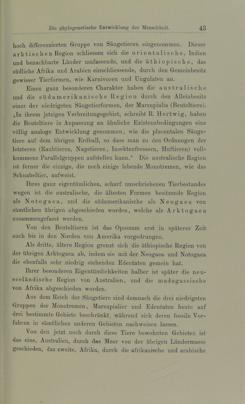 kocli differenzierten Gruppe von Saugetieren eingenommen. Dieser a rk t i s c k e n Region sckliessen sick die orientaliscke, Indien und kenackbarte Lander urafassende, und die atkiopiscke, das siidlicke Afrika und Arabien einsckliessende, durck den Gemeinbesitz gewisser Tierformen, wie Karnivoren und Ungulaten an. Einen ganz kesonderen Ckarakter kaben die australiscke und die siidamerikaniscke Region durck den Alleinbesitz einer der niedrigsten Saugetierformen, der Marsupialia (Beuteltiere). „In ikrem jetzigen Yerbreitungsgebiet, sckreibt R. Hertwig, kaben die Beuteltiere in Anpassung an aknlicke Existenzbedingungen eine vollig analoge Entwicklung genoinmen, wie die placentalen Siiuge- tiere auf dem iibrigen ErdbaU, so dass man zu den Ordnungen der letzteren (Raubtieren, Nagetieren, Insektenfressern, Huftieren) voll- kommene Parallelgruppen auf'stellen kann.u Die australiscke Region ist ferner die einzige, die nock einige lebende Monotremen, wie das Scknabeltier, aufweist. Ikres ganz eigentiimlicken, sckarf umsckriebenen Tierbestandes wegen ist die australiscke, die iiltesten Formen besitzende Region als Notogaea, und die siidamerikaniscke als Neogaea von samtlicken iibrigen abgesckieden worden, welcke als Arktogaea zusammengefasst werden. Yon den Beuteltieren ist das Opossum erst in spaterer Zeit auck bis in den Norden von Amerika vorffedrunsren. Als dritte, iiltere Region grenzt sick die atkiopiscke Region von der iibrigen Arktogaea ab, indem sie mit der Neogaea und Notogaea die ebenfalls sekr niedrig stekenden Edentaten gemein bat. Ikrer besonderen Eigentiimlickkeiten kalber ist spater die neu- seelandiscke Region von Australien, und die madagassiscke von Afrika abgesckieden worden. Aus dem Reick der Siiugetiere sind demnack die drei niedrigsten Gruppen der Monotremen, Marsupialier und Edentaten keute auf drei bestimmte Gebiete beschrankt, wakrend sick deren fossile Vor- fakren in samtlicken anderen Gebieten nackweisen lassen. \'on den jetzt nock durck diese Tiere bewoknten Gebieten ist das eine, Australien, durck das Meer von der iibrigen Landermasse gesckieden, das zweite, Afrika, durch die afrikaniscke und arabiscke