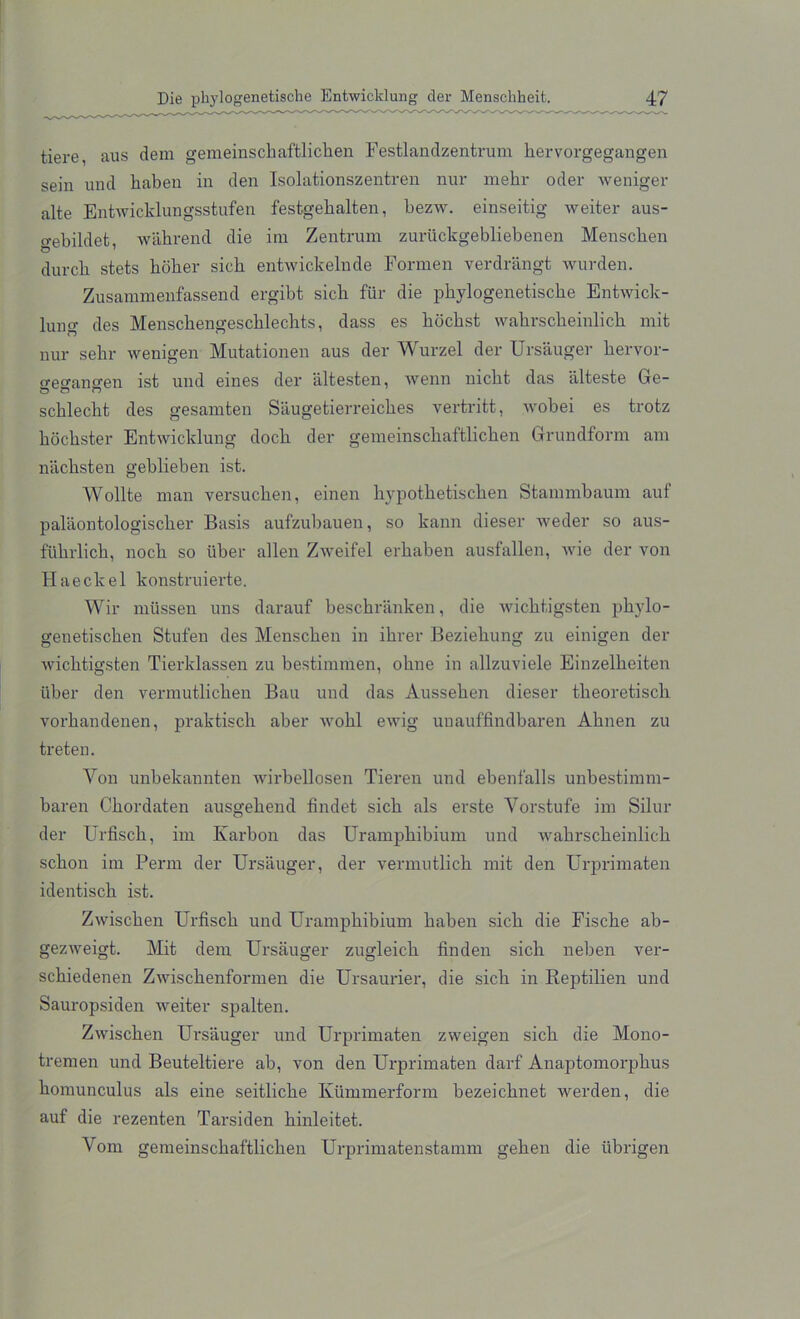 tiere, aus dem gemeinscbaftlicben Festlandzentrum hervorgegangen sein und kaben in den Isolationszentren nur mehr oder weniger alte Entwicklungsstufen festgelialten, bezw. einseitig weiter aus- o-ebildet wakrend die ini Zentrum zurfickgebliebenen Menscben durcb stets hoher sicb entwickelnde Formen verdrangt warden. Zusammenfassend ergibt sicb fur die phylogenetische Entwick- lung des Menscbengescblecbts, dass es kockst wabrscbeinlicb mit nur sehr wenigen Mutationen aus der Wurzel der Ursauger hervor- o,eeransren ist und eines der altesten, wenn nicbt das alteste Ge- scblecbt des gesamten SLiugetierreicbes vertritt, wobei es trotz bocbster Entwicklung docb der gemeinscbaftlicben Grundform am nacksten geblieben ist. Wollte man versucben, einen hypotbetiscben Stammbaum aut palaontologischer Basis aufzubauen, so kann dieser weder so aus- ffikrlick, nocb so fiber alien Zweifel erbaben ausfallen, wie der von Haeckel konstruierte. Wir mfissen uns darauf beschranken, die wicbtigsten pbylo- genetiscben Stufen des Menscben in ikrer Beziebung zu einigen der wicbtigsten Tierklassen zu bestimmen, ohne in allzuviele Einzelbeiten fiber den vermutlichen Bau und das Aussehen dieser tlieoretiscli vorbandenen, praktiscb aber wobl ewig unauffindbaren Abnen zu tretem Yon unbekannten wirbellosen Tieren und ebenfalls unbestimm- baren Cbordaten ausgebend findet sicb als erste Yorstufe in: Silur der Urfiscb, im Karbon das Urampbibium und wabrscbeinlicb sckon im Perm der Ursauger, der vermutlich mit den Urprimaten identiscb ist. Zwiscben Urfiscb und Urampbibium baben sicb die Fiscbe ab- gezweigt. Mit dem Ursauger zugleicb linden sicb neben ver- scbiedenen Zwiscbenformen die Ursaurier, die sicb in Reptilien und Sauropsiden weiter spalten. Zwiscben Ursauger und Urprimaten zweigen sicb die M0110- tremen und Beuteltiere ab, von den Urprimaten darf Anaptomorpkus homunculus als eine seitlicbe Kfimmerform bezeicbnet werden, die auf die rezenten Tarsiden binleitet. Vom gemeinscbaftlicben Urprimatenstamm geben die fibrigen