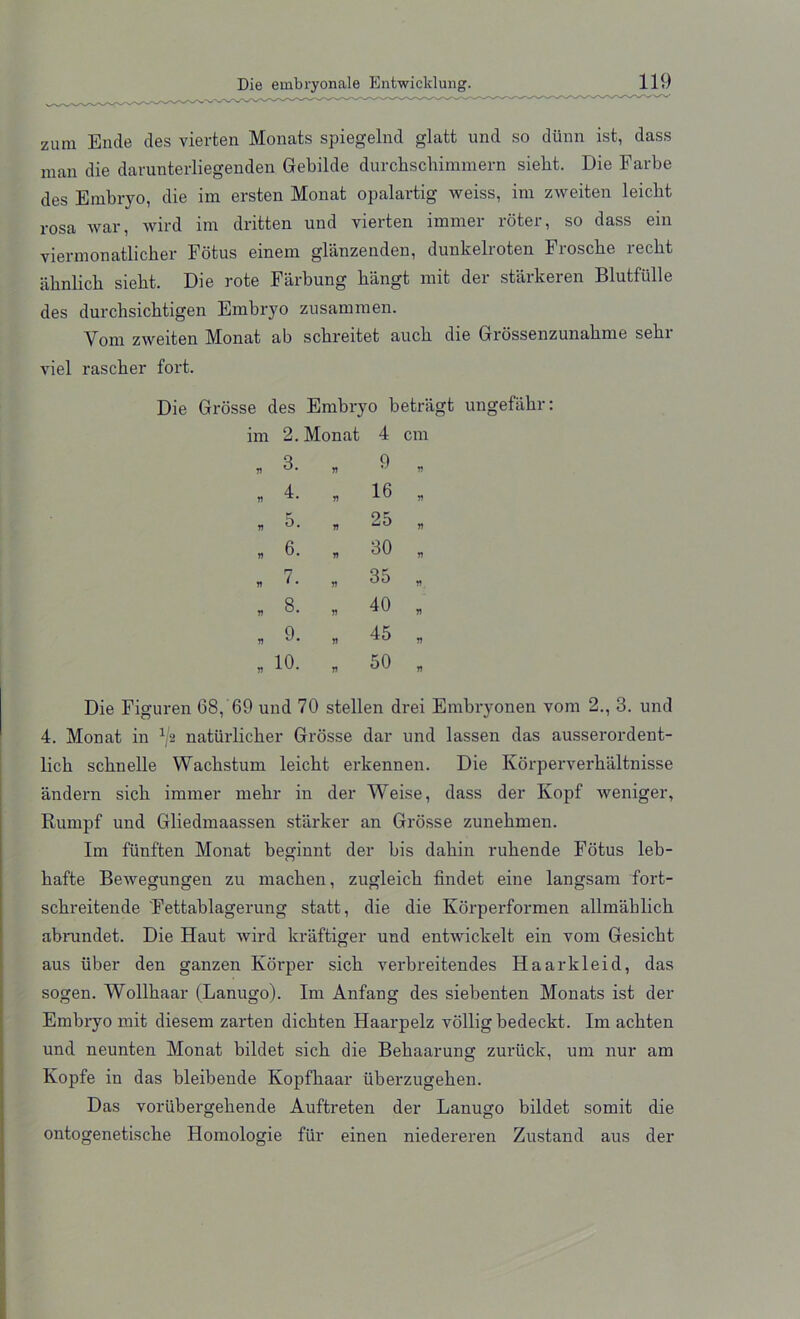 zum Ende des vierten Monats spiegelnd glatt und so diinn ist, dass man die darunterliegenden Gebilde durcbscliimmern sielit. Die Farbe des Embryo, die im ersten Monat opalartig weiss, im zweiten leicbt rosa war, wird im dritten und vierten immer roter, so dass ein viermonatlicber Fotus einem glanzenden, dunkelroten Froscbe recbt abnlicb siebt. Die rote Farbung bangt mit der starkeren Blutfiille des durchsicktigen Embryo zusammen. Yom zweiten Monat ab scbreitet aucb die Grossenzunabme sebr viel rascher fort. Die Grosse des Embryo betriigt ungefabr: im 2. Monat 4 cm n 3. V 9 71 4. 71 16 71 V 5. 71 25 71 n 6. 71 30 11 V 7. 11 35 71 « 8. 11 40 71 n 9. 11 45 Yt w 10. 71 50 71 Die Figuren 68, 69 und 70 stellen drei Embryonen vom 2., 3. und 4. Monat in J/2 natiirlicher Grosse dar und lassen das ausserordent- lich scknelle Wacbstum leicht erkennen. Die Korperverbaltnisse andern sicb immer mebr in der Weise, dass der Ivopf weniger, Rumpf und Gliedmaassen starker an Grosse zunebmen. Im funften Monat beginnt der bis dabin rubende Fotus leb- bafte Bewegungen zu macben, zugleicb findet eine langsam fort- scbreitende Fettablagerung statt, die die Korpei'formen allmablicb abrundet. Die Haut wird kraftiger und entwickelt ein vom Gesicbt aus iiber den ganzen Korper sicb verbreitendes Haarkleid, das sogen. Wollbaar (Lanugo). Im Anfang des siebenten Monats ist der Embryo mit diesem zarten dicbten Haarpelz vollig bedeckt. Im acbten und neunten Monat bildet sicb die Bebaarung zuriick, um nur am Kopfe in das bleibende Kopfbaar iiberzugeben. Das voriibergebende Auftreten der Lanugo bildet somit die ontogenetiscbe Homologie fur einen niedereren Zustand aus der