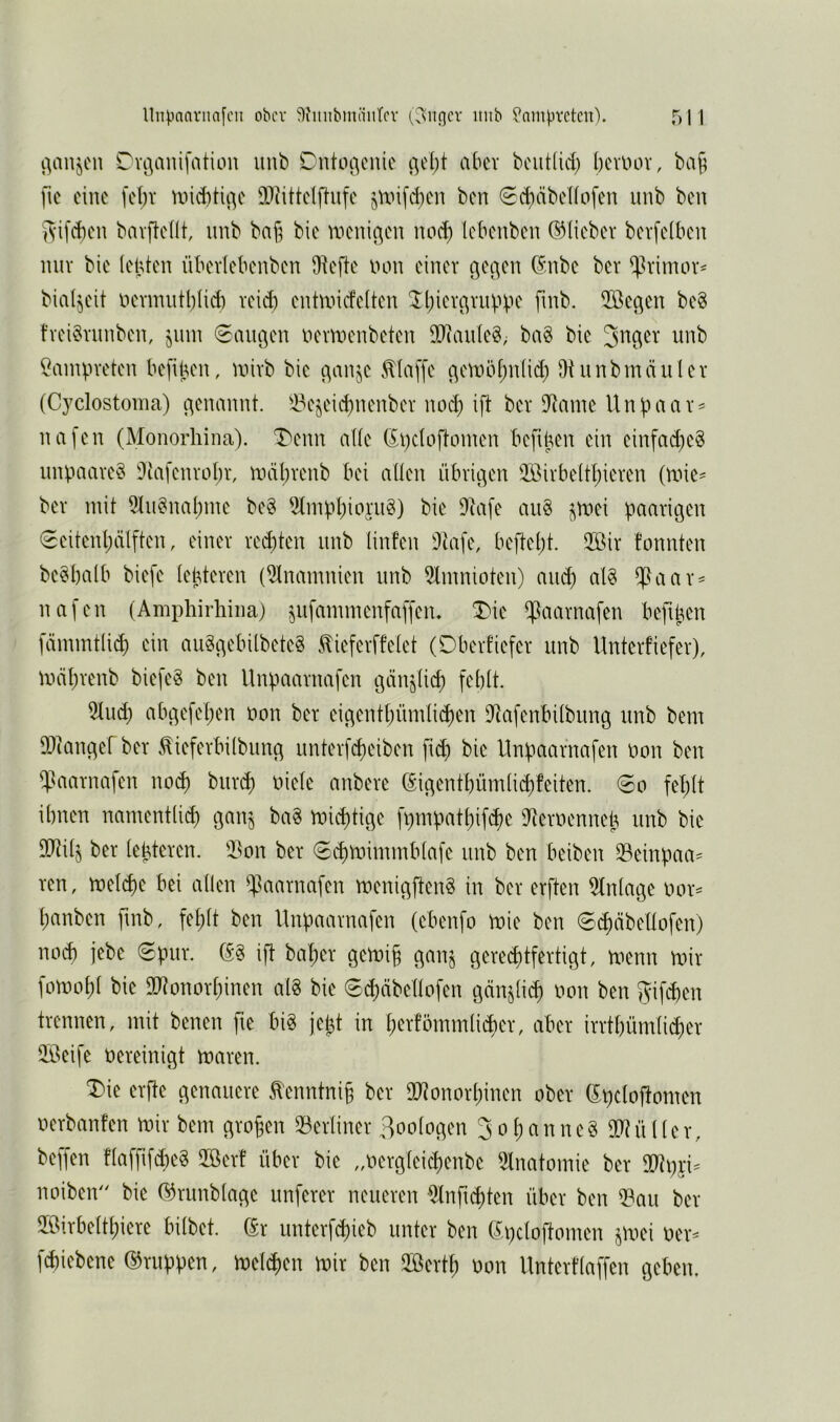 iVinjcii Cv^anifation unb DntoiV'iüc aber bcut(id) l)cvlu)v, baj; fic eine fel)v und)tii^e SOiittelflufe jun[d)en ben ^i^äbeliofen unb ben Snfeben bavflellt, nnb ba§ bie wenif^en no(^ lebenben ©lieber bevfeiben nur bie lebten nbevlebenben Dtefte lum einer gec^en ©nbe ber ^rimor^ bialjeit nernnitl)(id) reief) entmicfelten ^l;ierc^rupV'c fmb. 2öec^en be§ frei§rnnben, jinn langen nertnenbeten Tlank^, ba§ bie Lampreten befiben, unrb bie c^anje klaffe c\eUHH;n(id) Otnnbmäiiler (Cyclostoma) t^enmmt. ^l^ejeid)nenber noc^ ift ber D^mne Unpaar^ nafen (Monorhina). T^enn alle ©pcloftomen beftben ein einfad)e8 nnpaare§ Dtafenroljr, unrbrenb bei allen übrigen $ßirbeltl;ieren (roie^ ber mit 51u^nal)nie beg 9lmpl)iofng) bie Diafe au§ ^roei paarigen 0eitenl)älften, einer red)ten unb linfen 9tafe, beftel;t. 2öir fonnten be^balb biefe lebteren (iHnrnnnien nnb 5linnioten) au^ al§ ^aar = nafen (Ampliirhina) ^nfanunenfaffeiu ^ie ^aarnafen beftpen fämmtlic^) ein auSgebilbeteg ^ieferffelet (Dberfiefer unb Unterfiefer), mäl;renb biefe§ ben Unpaarnafen gänjlic^ fehlt. 5lud) abgefet;en non ber eigentbnmlid)en D^afenbilbung unb bem DJiangef ber .^ieferbilbung unterfcf)eiben fid) bie Unpaarnafen non ben $aarna]en no($ burc^ niete anbere ßigentbümlid)feiten. 0o fet;lt ihnen namentli(^ ganj ba§ mid)tige fpmpathif^e itiernennep unb bie 50^i4 ber lepteren. 'I^on ber 6($mimmblafe unb ben beiben 33einpaa^ ren, met^e bei allen ^^aarnafen menigflenS in ber erften Einlage nor^ hanben fmb, fet;lt ben Unpaarnafen (ebenfo mie ben 0^äbettofen) \wä) jebe 0pnr. ift baher getnif gan^ gere($tfertigt, menn mir fort)ot)l bie SD^onorhinen al§ bie ®($äbeltofen gänjli^ non ben ^ifeben trennen, mit benen fie big jet^t in herfömmli^er, aber irrthümli^er 5öeife nereinigt maren. X'ie erfte genauere ^enntni§ ber äRonorhinen ober ©pcloftomen nerbanfen mir bem grofen ^Berliner Boologen 3ohanneg DD^üller, beffen flaffifd)eg 2öerf über bie „nergleichenbe 5lnatomie ber noiben'' bie ©runblage nuferer neueren -5lnfi^ten über ben it?au ber Sirbelthiere bilbet. ©r unterfd)ieb unter ben ©pcloftomen §mei ner== febiebene ©nippen, meliben mir ben 2öerth non Untertlaffen geben.