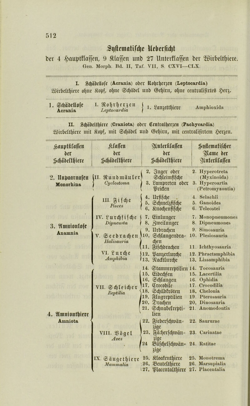 ^i)ftrmaUfd)c Mebcrfuljt bcT 4 .^auptflaffcn, 9 .^(affcn imb 27 Unterflaffen bcr 2ßirbe(tt)iere. Gen. Morph. Bd. II, Taf. VII, S. CXVI—CLX. I. Sd)ttkllo[c (Acrania) ober ilol)rl)cr^Clt (Leptocardia) SiSirbeÜl^iere o^ne Äo^f, o^ne ©cfjäbet unb ©el^irn, o^ue ceutratifirteö ^erj. '■fciS!**' Lclill'dd''' j 1-Sanjettflietc Amphioxida II. Sd)äbcÜl)lcrc (Craniota) ober (Ccntrnlljer^cn (Pachycardia) SirbeUI)iere mit Äo|)f, mit @cf)äbet unb ®ei^iru, mit ceutratifirtem iperjen. ^nuptfifalfen j^frtlTeu '^nferßfaO'cn ^i)(ieinafi|'d)cr ber 6er bcr '^Tamc bcr ^djöbcnijiere ^d)dbefl()iere ^djd'benf)icrc ^iifcrRfalfcu 2. 3uger ober 2. Hyperotreta 2. Un^janruttfcn lil. Stuubmäuter ©d^teimfifdje (Myxinoida) Monorhina j Cyclo Stoma . 3. Sampreteu ober 3. Hyperoartia » f ^ \ ^riefen (Petromyzontia) III. gifdje ! Pisces 1 4. llrfifd^e . 5. ©d^mel^fifd^e 4. Selachii 5. Ganoides 6. Ä'uod^entifc^e 6. Teleostei 3« 9JnimonIofe Anamnia IV. Surc^fifd^e ( 7. ©nlltnger 7. Monopueumones Dipneusta } 8, 3'^^*^hnger 8. Dipneumones !9. llrbradf^eu 9. Simosauria 10. ©d^aitgenbra- lO. Plesiosauria d^en 11. §ifc[)brnd)en ll- Ichthyosauria VI. Surd)e |i2, '4'anjertlird^e 12. Phractamphibia Amphibia Il3. 9'dadttlirci^e 13. Lissamphibia 4. Slnuiioiitbierc Amniota VII. @d^teid)er Reptüia VIII. 35ögel Aves 14. ©tammrebtirien 14. Tocosam-ia [15. (Sibed^feil 15. Lacertilia 116. ©d^tangeu I6. Ophidia ]17. (Srocobile 17. Crocodilia \18. ©djilbtröteu I8. Chelonia jl9. ^Iligrebtdieu 19. Pterosauna /20. 2)rad)en 20. Dinosauria f 21. @d)liaberrel3tt= 21. Anomodoutia ^ tien i'22. §ieber[djmnn= 22. Saururae 5ige 23. ^ndjerfdjmnu- 23. Cariuatae atge 24 Süfd)etfd)män= 24. Ratitae Jige IX. ©äugetliiere ^5. Älonteuttjiere 25. Monotrema Mammalia .20. 33eutettf)iere 26. Marsupialia 127. '4^'laccutaldjiere 27. Placentalia