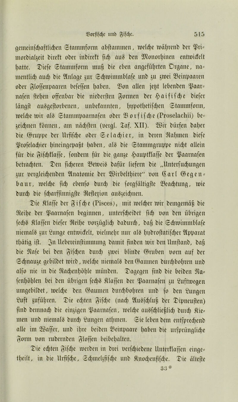 35orfifdf)C niib ^i[d)c. c\emeinfd)aftlict)cu Stammform abftammcu, tt>c(d)c \väl;vcnb bcr movbialjeit bivct’t ober inbiveft fid) au§ bcu 3D]onov()ineu cntwidclt l)atte. T'icfc Stammform mu§ bic eben an(^efül;vten Organe, na^ ment(id) aiidi bie Einlage jiir 6d)miminb(afe unb ^n j\t>ei 33einpaaren ober gloffenpaaven befe[fen l;aben. 'J3on allen jeid (ebenben ^^aav= nafen flel^en offenbar bic nieberflen gönnen ber §aififd)e biefer längd an^geflorbenen, nnbefannten, l;i)botl)etifd)cn Stammform, meld)e mir ai^ Stammpaarnafen ober orfif<^e (Proselachii) be^ jeid)nen fönnen, am näd)ften (oergl. 2;af. XII). iffiir bürfen bal;er bic @rupp<^ ber Urfifd)c ober 6elackier, in bereu Ükl)men biefe $!rofelad)ier l;ineingepa§t l)aben, al§ bie Stammgruppe nid)t allein für bie gifd)flaffe, fonbern für bic ganje ^auptflaffe ber ^aarnafen betrauten, ^en fid)cren iBemei^ bafür liefern bie „Untcrfu(^ungen jur oerg(eid)cnben 5lnatomie ber 2öirbeltl)icrc oon G^arl ®egcn^ baur, mei^c fid) ebenfo burd) bie forgfäitigftc iBea(^tung, mie bur^ bie f($arffumig]te Üleflejion an^jeic^nen. T)ie ,d:(affe bcr gifd)e (Pisces), mit meld)er mir bemgemä§ bie Üteil)e ber ^aarnafen beginnen, unterf^eibet fiel) oon ben übrigen fed)§ .klaffen biefer DIeibe oorjüglii^ baburd), ba^ bie Scbmimmblafe niemals ^ur Önngc entmidelt, oic(mel)r nur alS l;pbroftatifcl)er 5lpparat tl)ätig i|t. 3n Uebereinftimmimg bamit finben mir ben Umftanb, ba§ bie DIafc bei ben gifd)cn burd) jmei blinbe (Gruben oorn auf ber Sd)uau^e gebilbet mirb, meld)c niemals ben (Daumen biircbbol)ren unb alfo nie in bie 9Iad)enl)öl)le münben. X^agegen finb bie beiben 9ta^ fenl)öt)len bei ben übrigen fed)S klaffen bcr ifaarnafen ^u öuftmegen umgebilbet, mel(^e ben ©aumen burcl)bol)ren unb fo ben Zungen ßuft jufül;ren. Xie ed)ten gifd)c {waä) 5luSfcl)lu§ ber Xipneuften) fmb bemmu^ bic einzigen '^^aarnafen, me(cl)c auSf^lie^lid) bur(^ men unb niemals burd) Zungen atl;mcn. Sie leben bem entfpred)enb alle im Jßaffer, unb ipre beiben 23einpaare haben bie urfprünglid)e gönn oon rubernben gloffen beibcl)a(ten. Xie echten gifd)c merben in brei oerf^iebene Unterfiaffen einge^ tl;ei(t, in bic Urfifihc, Scl)mehfifd)e unb tnod)enfifd)c. Xie ältefte