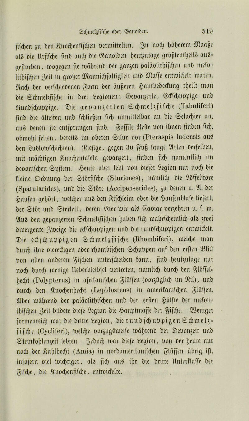 fif^cu ju bcn <^nod)cnfifd)cn ücrmittclten. 3n noc^ ^öl)cvcm Tlaa^t al§ bic; Uvfifd;c fmb and) bie ©anoibcu l)cutöutai'\c övö^tcntljeil^ au«- öcflovbcn, uun-^ci'^cn fic UH\()Yenb bcv 9an^cu pa(äolitl)ifd)eu unb mefo- i\Ü)\\d)cn Seit iu t]vo[H'v ®iannid)fa(tiöt’eit unb entmiefdt li^aren. 9iad) bcv iu'vfd)icbcucn Jvavm bcv äu§cvcu «.§autbcbccfum3 tl;ci(t man bic 0d)mc4fifd;c iu bvei Ccßioucu: ©epau^evte, (5cffc^)uppicic unb 9iunb[d;uvpiöc. T)ic gepanjevten 6c^)mclifc^c (Tabuliferi) [inb bic ültcflcn unb [i^licjcn [ic^ umnitteibav an bic 0c(ad)icv an, au« bcucn fic cntfpvuußcn fmb. finben [i^, obmol)l feiten, beveit« im obeven 0i(uv nov (Pteraspis ludensis au« ben 2ublomf^)ic^tcn), Ütiefige, gegen 30 lange 5Ivten bevfelben, mit mastigen .^imd^entafeln gepan^evt, finben fiel) nmncntli^ im benonifd)cn Softem, feilte abev lebt non biejev öegion nuv no(^ bic fleine Drbnung bcv 0tövfifc^c (Sturiones), nämlid) bie Ööffelftbvc (Spatularides), unb bie Stove (Accipenserides), ju benen u. 51. bev Raufen gel)övt, meldiev un« ben gifc^l»^ini obev bie ^fmufenblafe liefevt, bev Stöv unb Stcvlett, beven öiev miv al« (Eaoiav nev^el)vcn u. f. m. 5Iu« ben gepanjevten S4nte4fifi^en l)aben fi($ maf)vf(^einli(^) al« ^mei bioevgente 3AU'ige bie ecffd)uppigen unb bie vunbfe^uppigen entmidelt. T'ie edfRuppigen S(^mel§fifd)e (Rhombiferi), melc^e man buv(^ ifive nieved’igen obev vf)ombif^en Schuppen auf ben evften Q3li(f non allen anbeven giften untevfd)eiben fann, finb l)eutjutage nuv no($ buvcf) menige Uebevblcibfel nevtveten, nämlii^ buvet) ben glöffel- bec^t (Polypterus) in afvifanifi^en glüffen (novjügli^ im Dtil), unb buvcb ben ^'nod)enl)ed)t (Lepidosteus) in amevifanifd)en glüffen. 5lbev mäl;venb bev paliäolitl)ifct)en unb bcv evften §älfte bev mefoli- tbifeben bilbete biefe 'Legion bie §auptmaffe bev gifd)c. UBenigev fovmenveid) mav bie bvittc ßegion, bie vunbf(^üppigen Scbmelj- fifebe (Cycliferi), meld)e nov^ug«meife mäbvenb bev 3)enonjeit unb Steinfoblenjeit lebten. Ö^ginn, non bev beute nuv noch bev ^abll)e'd;t (Amia) in novbmnevifanifi^en glüffen übvig ifl, infofevn niel miebtigev, al« fid) au« ibv bie bvitte Untevflaffe bev gifebe, bie .^nocbenfif^e, entmicfelte.