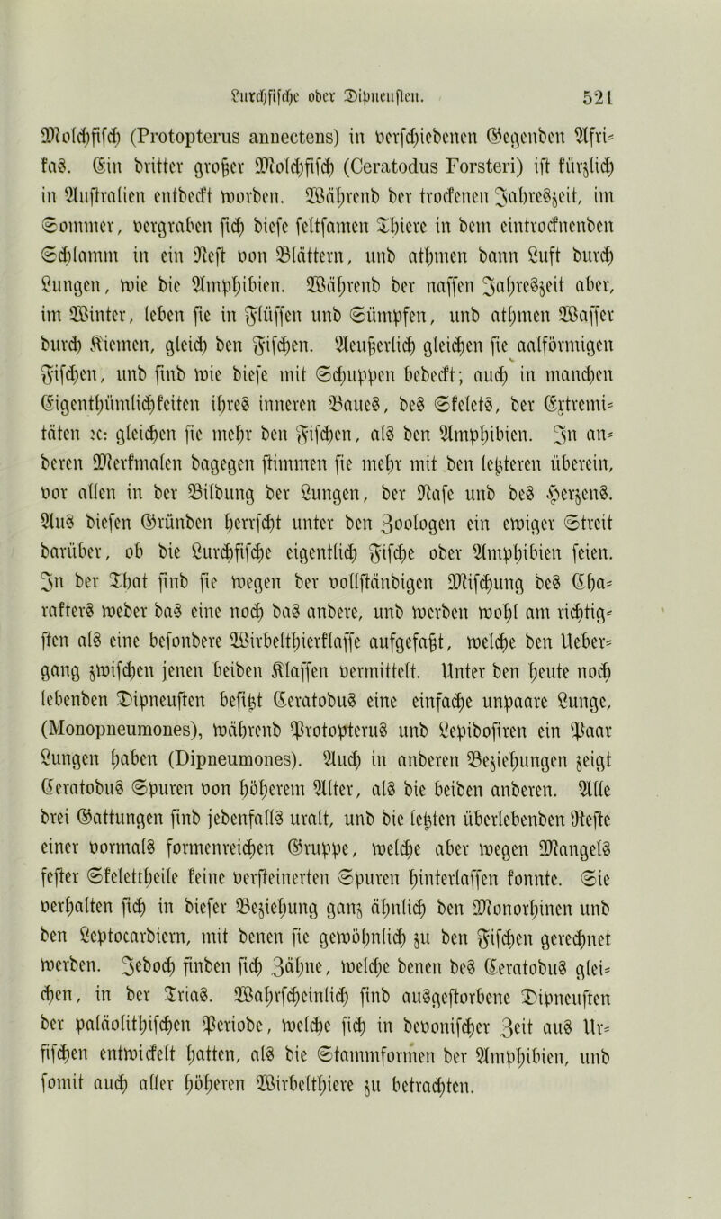 (Protoptems amiecteus) in V>crfd;iebcncn ®ci3cnbcn fa§, (Sin bvittcr gvo^cv 9}ioId)fifd) (Ceratodus Forsten) ift füvjlid) in 2hifiva(ien entbedt tnovben. 5öäl;vcnb ber tvoefenen JabreSjeit, im 0ommcv, nerövaben ftd) biefe felt[amen 2^l)iere in bem cintvoefnenben 0d)[amm in ein iJicfl lum iBldttern, nnb atl)men bann Önft bur^ Önn^en, mie bic 2tmpl;itnen. 2Bn(;venb ber naffen 3a()re§jeit aber, im Üöinter, leben fte in ©nmpfen, unb atljmen üöaffer biird) .Kiemen, gleid) ben 2tenj3erli(b gleiten fie aalförmigen f5ifd)en, nnb fmb mie biefe mit 0d)nppen bebedt; am^ in manchen (Sigenthnmlid)feiten ibreg inneren 33ane§, be§ 6felet^, ber (Sjtremi^^ täten K: glei<^en fie mehr ben 2lmphif^f^n. 3^^ beren üJterfmalen bagegen ftimmen fie mehr mit ben leideren überein, t>or allen in ber 33ilbung ber Zungen, ber Diafe unb be§ §erjen§. 2lu§ biefen ©rünben b^tvfeht unter ben 3oologen ein emiger Streit barüber, ob bie öur<^fif^e eigentli^ 5if^^ öber iHmphibien feien. 3n ber Jbat fmb fie megen ber uollftänbigen DiRif^ung be§ (Sba^ rattert meber ba§ eine noch ba§ anbere, unb merben mohl am rii^tig^ ften al8 eine befonbere iißirbelthierflaffe aufgefaft, melche ben lieber^ gang jmifchen jenen beiben klaffen oermittelt. Unter ben h^ute nod) lebenben T^ipneuften befi^t (Seratobug eine einfache unpaare Öunge, (Monopneumones), mährenb iProtopteru§ unb Öepibofiren ein ^aax öungen hieben (Dipneumones). 2luch in anberen ^Beziehungen z^igt (SeratobuS Spuren üon höh^vem 2llter, al§ bie beiben anberen. 5llle brei (Gattungen finb jebenfalB uralt, unb bie lebten überlebenben IRefte einer oormalS formenreichen d^ruppe, melche aber megen SOIangetS fefter Sfelettheile feine oerfteinerten Spuren hinterlaffen fonnte. Sie »erhalten ft^ in biefer ^Beziehung ganz ^cn DJionorhinen unb ben öeptocarbiern, mit benen fie gemöhnlich z^ ben ^ifchen gerechnet merben. 3^f>o^h finben fi^ mel^e benen be§ (S,eratobii§ glei^ (hen, in ber üöahrf^einlich finb auggeftorbene 3)ipneuften ber paläolithifchen i]]eriobe, melche fich in beoonifcher ßeit au§ Ur= fif^en entmidelt hcitten, al§ bie Stammformen ber 5Imphibien, unb fomit auch ilöirbelthiere zu betrachten.