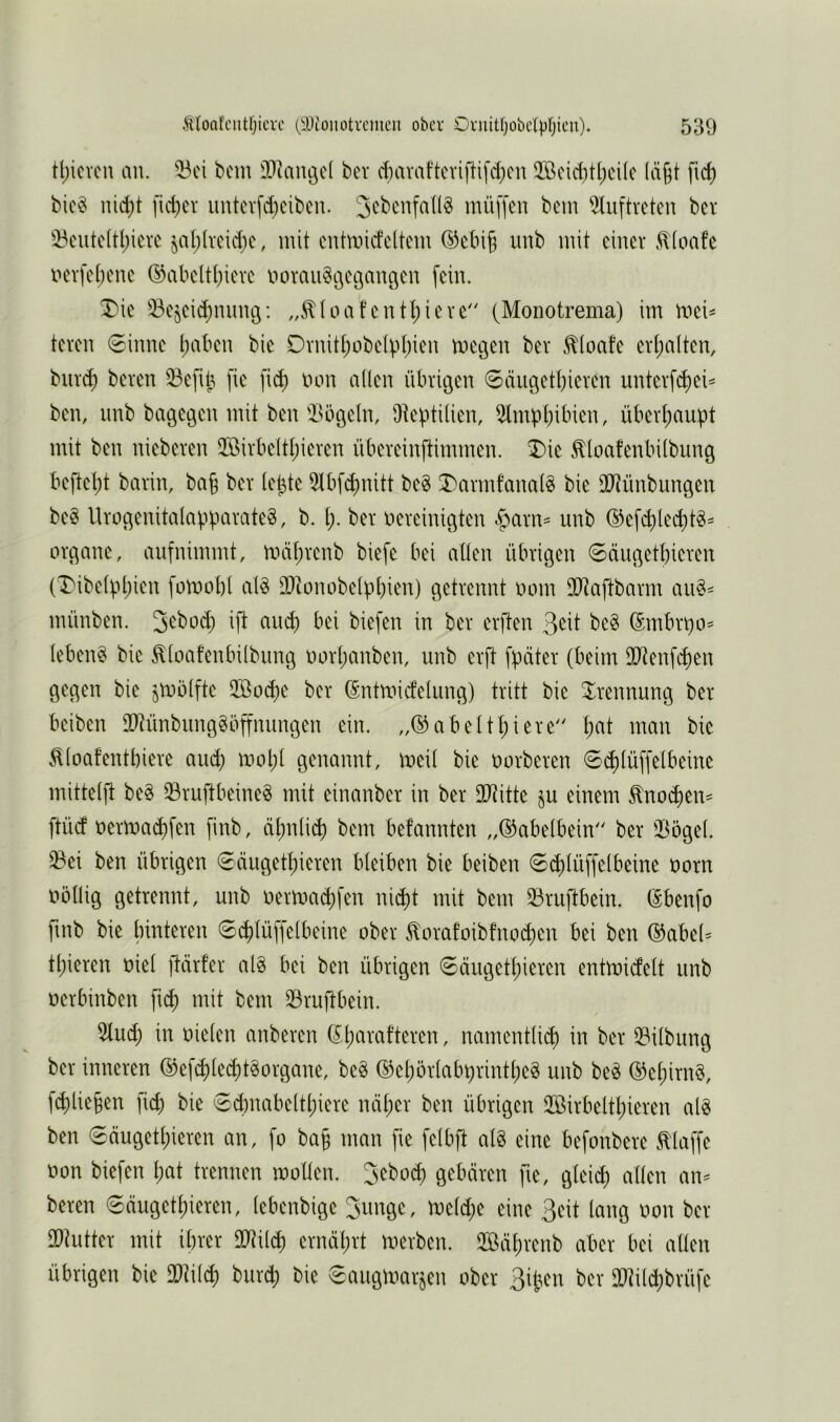 tl)icvcn an. 53ci bem DJumgcl ber diavaftcviftifd^cn 2öeid)tl)d(e (ägt ftd) bic§ nid}t futev imtevfd)cibeu. mü[[en bem ^luftretcu ber 33eutc(tl)icrc jal;(vcid)c, mit cntmidcltem ®cbi5 imb mit einer .^(oafe nerfe()ene ®abeltt)iere noran^öeganöen fein. X'ie 53e^eid;nnn9: ,,^toat’entt)iere'' (Moiiotrema) im mei^ teren 6inne t;aben bie DrnitI;obe(pl;ien megen ber .^toafe ert;atten, biird) beren ^efib fie \\6) tum allen übrigen 0äugetbieren unterfc^ei^ ben, imb bagegen mit ben ^>ögeln, Üteptilien, 5lmpbibien, überl;aupt mit ben nieberen üöirbeltljieren übereinftimmen. ^ie Moafenbübung beftel)t barin, ba§ ber letzte 5lbf^nitt beg ^armfanaB bie llltünbungen be§ UrogenitaIapparate§, b. l;. ber nereinigten -^arn^ unb ®efc^led)t^- Organe, aufnimmt, mäl)renb biefe bei allen übrigen 0äugetbieren CDibelpl)ien fomobl al^ lOtonobelpbi^n) getrennt nom llltaftbarm aiig- münben. 3<^^od) ift ancb bei biefen in ber erften ^tit be§ (^mbr^o- lebend bie ^loafenbilbung oorl)anben, unb erft fpäter (beim lIRenfd)en gegen bie §mölfte 5Ö0(^e ber (Sntmid’elung) tritt bie 3^rennung ber beiben TOinbungSöffnungen ein. ,,(l^abeltl;iere'' \)at man bie ^loafentbiere and) mol;l genannt, meil bie oorberen 0(^lüffelbeine mittelft be§ iBruftbeine^ mit einanber in ber Ultitte §u einem ^no(^em ftücf oermai^fen finb, äl;nti($ bem befannten „Q^abelbein ber IBögel. ^ei ben übrigen 0ciugetl)ieren bleiben bie beiben ©^lüffelbeine uorn uöllig getrennt, unb r)ermact)fen ni^t mit bem 33ruftbein. (Sbenfo fmb bie (unteren S^lüffelbeine ober ^orafoibfnoc^en bei ben (^abel= tl;ieren oiel ftärfer alg bei ben übrigen ©äugetl)ieren entmidett unb uerbinben mit bem 23ruftbein. 5lud; in oielen anberen ^l)arafteren, namentlid) in ber IBilbung ber inneren ©efd)led;t^organe, be§ (^el)örtabürintl;e§ unb be^ ®et)irn§, fcf)lie§en fid) bie €d)nabeltl)iere nä^er ben übrigen 2öirbeltl)ieren al§ ben 0äugetl;ieren an, fo ba§ man fie felbft al§ eine befonbere klaffe oon biefen Ijat trennen moüen. gebären fie, gleich allen an^ beren 6äugetl)ieren, lebenbige Sunge, meld;e eine ßeit lang oon ber IDtutter mit ihrer 2}Uld) ernährt merben. Höäl)renb aber bei allen übrigen bie DDdld) bur(^ bie Saugmarjen ober 3iben ber 3}tild)brüfc