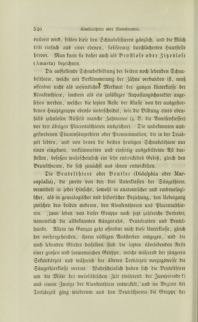 510 ii(oat'ciitt;icx'c ober iUtüUütvcmcu. entlccvt mivb, fehlen biefe ben €d)nabeltl)ieven c|änjlid), iinb bie'Diilch tvitt eiufad) au§ einer ebenen, fiebfövini^ burd)löd)crten ^autftclle hevuov. iDian fmm fie beiher and) al§ rn ftl o f c o b e r 3 ^ h ^n l o f c (Aniasta) bejeid)nen. I)ie auffallenbe Sd)nabelbilbun(^ ber beiben noi^ lebenben 0d;na^ beltl)icre, meldie mit i^erfninmernnö ber 3<>'if)oc nerbunben ift, muh offenbar nid)t a(8 mefentlid)C? 3[)tertmal ber c\an§en Untert’laffe ber Mloat’enthierc, fonbern al^ ein ^iifäüic^er Vlnpaffunö§d)arafter ange- fehen merben, meld)cr bie lebten Oiefte ber .klaffe oon ber auStjeftor- benen §aubtc\rupf.K^ ebenfo unterfcheibet, mie bic Gilbung eineg ebem fallg jahnlofen Oiüffelg mand)e 3^'ihi^^'^voie (j. 23. bie 2lmeifenfreffer) oor ben übrigen ^^Uacentaltl)ieren angjeid)net. T)ie iinbefannten aug^ geftorbenen 6tammfäiigethiere ober 3'vomammalien, bie in ber Xriag== ^eit lebten, iinb oon benen bie beiben heutigen €cbnabelthiere nur einen einzelnen, oerfümmerten unb einfeitig auggebilbeten 2lft bar= [teilen, befahen mahrfcheinlid) ein fel)r entmicfelteg ©ebih, glei^ ben 23euteltl)ieren, bie fieh ^unäd)[t aug ihnen entmidelten. 5)ie 23 eilt eit 1)1 cre ober 23eutler (Diclelphia ober Mar- supialia), bie jmeite oon ben brei llnterflaffeu ber Säiigethiere, oermittelt in jeber ^inficht, fomol)l in anatomifcher unb embrt)ologi^ fd)cr, alg in genealogifd)er unb l)lftorifcher 23eöiehuug, ben llebergang jroifdjen ben beiben anberen, ben .^loafentl)ieren unb 3^lacentalthie^ ren. '^\\m leben oon biefer ©nippe nod) je^t Qal)lreid)c ilertreter, nmnentlid) bie allbefannten .^änguruhg, 23eutelratten unb 23euteU hunbe. 2lllein im ©anjcai gel)t offenbar and) biefe llnterflaffe, gleid) ber oorl)ergel)enben, ihrem oölligen 21iigfterben entgegen, unb bie noch lebenben ©lieber berfelben finb bie lepten überlebenbcn Üiefte einer gropen unb formenreid)en ©nippe, meld)e mdhrenb ber jüngeren 0etunbärjeit unb mähreiib ber älteren iertiärjeit oorjuggmeife bie 0äiigethierflaffe oertrat. il^ahrfd)einlid) halben fid) bie 23eiitelthiere um bic ÜJiitte ber mefolithifd)en 3'-'ü (UHihvenb ber Juraperiobe‘0 aug einem oAH'ige ber Hloatentl)iere enhoict’elt, unb im 23eginn ber ^ertiärjeit ging uneberum aug ben 23eutclthieren bic ©nippe ber