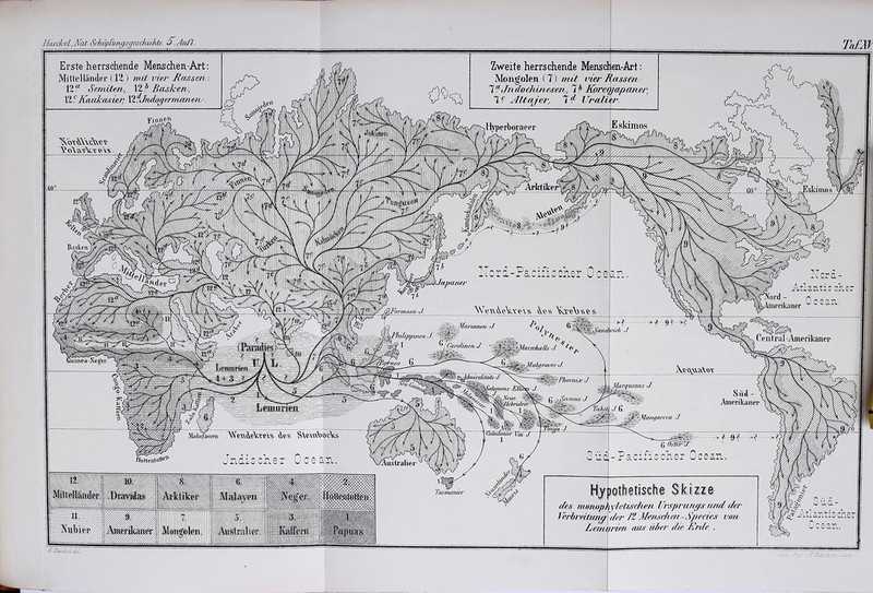 Hiuekd, Not. Srhöpfiin^sgesdiidyk S.Aufl. TaFM Erste herrschende Menschen-Art; Miltelläiider (12 I init vier Jtasscn ; 12f Semite/!., VLl'Hetsken, 12 ?Jiaid'asiet; Ylfjudogermcuiete . Fiiuven e‘\?». Zweite herrschende Menschen-Art: Mongolen (T) Twt/ vier Rassen : VJndodrinesert, ~i} Koreqjapaner, 'hi'fü.iiirtei Ih.nidtn \ik'ikci des mnnophyietisetien Urspraru/s und eJer lerbieituny der /'t Me/ischeit -Species von Le/nnrie/i m/s ü//er die Erde . 1 Atl antic eher