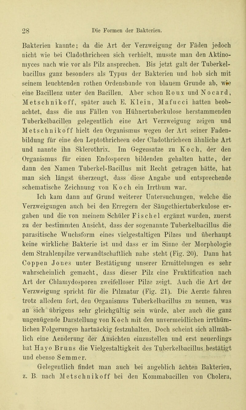 Bakterien kannte; da die Art der Verzweigung der Fäden jedoch nicht wie bei Cladothricheen sieh verhielt, musste man den Aktino- myces nach wie vor als Pilz ansprechen. Bis jetzt galt der Tiiberkel- bacillns ganz besonders als Typus der Bakterien nnd hob sich mit seinem leuchtenden rothen Ordensbande von blauem Grunde ab, eine Bacillenz unter den Bacillen. Aber schon Roux undNocard, Metschnikoff, später auch E. Klein, Mafucci hatten beob- achtet, dass die aus Fällen von Hühnertuberkulose herstammenden Tuberkelbacillen gelegentlich eine Art Verzweigung zeigen und Metschnikoff hielt den Organismus wegen der Art seiner Faden- bildung für eine den Leptothricheen oder Cladothricheen ähnliche Art und nannte ihn Sklerothrix. Im Gegensatze zu Koch, der den Organismus für einen Endosporen bildenden gehalten hatte, der dann den Namen Tuberkel-Bacillus mit Kecht getragen hätte, hat man sich längst überzeugt, dass diese Angabe und entsprechende schematische Zeichnung von Koch ein Irrtbum war. Ich kam dann auf Grund weiterer Untersuchungen, welche die Verzweigungen auch bei den Erregern der Säugethiertuberkulose er- gaben und die von meinem Schüler Fischel ergänzt wurden, zuerst zu der bestimmten Ansicht, dass der sogenannte Tuberkelbacillus die parasitische Wucbsform eines vielgestaltigen Pilzes und überhaupt keine wirkliche Bakterie ist und dass er im Sinne der Morphologie dem Strahlenpilze verwandtschaftlich nahe steht (Fig. 20). Dann hat Coppen Jones unter Bestätigung unserer Ermittelungen es sehr wahrscheinlich gemacht, dass dieser Pilz eine Fruktification nach Art der Chlamydosporen zweifelloser Pilze zeigt. Auch die Art der Verzweigung spricht für die Pilznatur (Fig. 21). Die Aerzte fahren trotz alledem fort, den Organismus Tuberkelbacillus zu nennen, was an sich übrigens sehr gleichgültig sein würde, aber auch die ganz ungenügende Darstellung von Koch mit den unvermeidlichen irrthüm- lichen Folgerungen hartnäckig festzuhalten. Doch scheint sich allmäh- lich eine Aenderung der Ansichten einzustellen und erst neuerdings hat Hayo Bruns die Vielgestaltigkeit des Tuberkelbacillus bestätigt und ebenso Semmer. Gelegentlich findet man auch bei angeblich ächten Bakterien, z. B. nach Metschnikoff bei den Kommabacillen von Cholera,