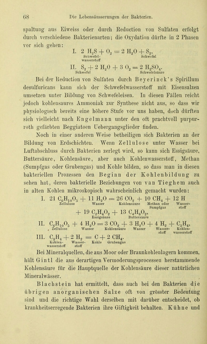 Spaltung aus Eiweiss oder durch Reduction von Sulfaten erfolgt durch verschiedene Bakterienarten; die Ox3^dation dürfte in 2 Phasen vor sich gehen: 1. 2 HgS + O2 =: 2 Kß + S^, Schwefel- Schwefel Wasserstoff IL S, + 2 H,0 + 3 O2 = 2 Schwefel Schwefelsäure Bei der Keduction von Sulfaten durch Beyerinck's Spirillum desulfuricans kann sich der Schwefelwasserstoff mit Eisensalzen umsetzen unter Bildung von Schwefeleisen. In diesen Fällen reicht jedoch kohlensaures Ammoniak zur Synthese nicht aus, so dass wir physiologisch bereits eine höhere Stufe vor uns haben, doch dürften sich vielleicht nach Engelmann unter den oft prachtvoll purpur- roth gefärbten Beggiatoen üebergangsglieder finden. Noch in einer anderen Weise betheiligen sich Bakterien au der Bildung von Erdschichten. Wenn Zellulose unter Wasser bei Luftabschluss durch Bakterien zerlegt wird, so kann sich Essigsäure, Buttersäure, Kohlensäure, aber auch Kohlenwasserstoff, Methan (Sumpfgas oder Grubengas) und Kohle bilden, so dass man in diesen bakteriellen Prozessen den Beginn der Kohlenbildung zu sehen hat, deren bakterielle Beziehungen von van Tieghem auch in alten Kohlen mikroskopisch wahrscheinlich gemacht wurden: I. 21 CßHioOs + 11 H2O 26 CO2 -f 10 CH^ + 12 H Zellulose Wasser Kohlensäure Methan oder Wasser- Sumpfgas Stoff + 19 C,H,0, + 13 C,Rfi„ Essigsäure Buttersäure II. G,ü,,0, + 4 H,0 = 3 CO, + 3 H,0 + 4 H, + C3H,, j Zellulose Wasser Kohlensäure Wasser Wasser- Kohlen- stoff Wasserstoff' III. C3H, + 2 C + 2 CH^. Kohlen- Wasser- Kohle Grubengas Wasserstoff stoft Bei Mineralquellen, die aus Moor oder Braunkohlenlagern kommen, hält Grintl die aus derartigen Vermoderungsprocessen herstammende Kohlensäure für die Hauptquelle der Kohlensäure dieser natürlichen Mineralwässer. Blachstein hat ermittelt, dass auch bei den Bakterien die übrigen anorganischen Salze oft von grösster Bedeutung sind und die richtige Wahl derselben mit darüber entscheidet, ob krankheitserregende Bakterien ihre Giftigkeit behalten. Kühne und