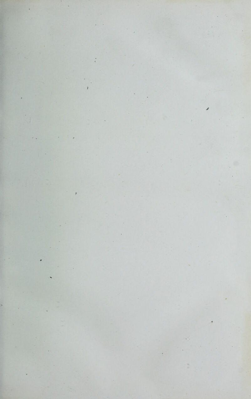 y ‘ / \ J ' y , l •n %