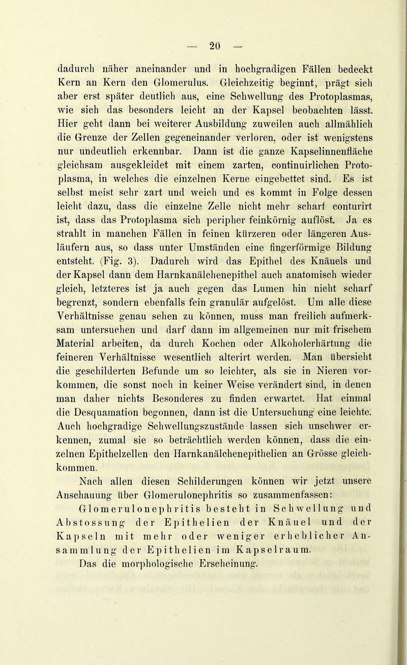 dadurch näher aneinander und in hochgradigen Fällen bedeckt Kern an Kern den Glomerulus. Gleichzeitig beginnt, prägt sich aber erst später deutlich aus, eine Schwellung des Protoplasmas, wie sich das besonders leicht an der Kapsel beobachten lässt. Hier geht dann bei weiterer Ausbildung zuweilen auch allmählich die Grenze der Zellen gegeneinander verloren, oder ist wenigstens nur undeutlich erkennbar. Dann ist die ganze Kapselinnenfläche gleichsam ausgekleidet mit einem zarten, continuirlichen Proto- plasma, in welches die einzelnen Kerne eingebettet sind. Es ist selbst meist sehr zart und weich und es kommt in Folge dessen leicht dazu, dass die einzelne Zelle nicht mehr scharf conturirt ist, dass das Protoplasma sich peripher feinkörnig auflöst. Ja es strahlt in manchen Fällen in feinen kürzeren oder längeren Aus- läufern aus, so dass unter Umständen eine fingerförmige Bildung entsteht. (Fig. 3). Dadurch wird das Epithel des Knäuels und der Kapsel dann dem Harnkanälchenepithel auch anatomisch wieder gleich, letzteres ist ja auch gegen das Lumen hin nicht scharf begrenzt, sondern ebenfalls fein granulär aufgelöst. Um alle diese Verhältnisse genau sehen zu können, muss man freilich aufmerk- sam untersuchen und darf dann im allgemeinen nur mit frischem Material arbeiten, da durch Kochen oder Alkoholerhärtung die feineren Verhältnisse wesentlich alterirt werden. Man übersieht die geschilderten Befunde um so leichter, als sie in Nieren Vor- kommen, die sonst noch in keiner Weise verändert sind, in denen man daher nichts Besonderes zu finden erwartet. Hat einmal die Desquamation begonnen, dann ist die Untersuchung eine leichte. Auch hochgradige Schwellungszustände lassen sich unschwer er- kennen, zumal sie so beträchtlich werden können, dass die ein- zelnen Epithelzellen den Harnkanälchenepithelien an Grösse gleich- kommen. Nach allen diesen Schilderungen können wir jetzt unsere Anschauung über Glomerulonephritis so zusammenfassen: Glomerulonephritis besteht in Schwellung und Abstossung der Epithe 1 ien der Knäuel und der Kapseln mit mehr oder weniger erheblicher An- sammlung der E p i t li e 1 i e n im Kapsel raum. Das die morphologische Erscheinung.