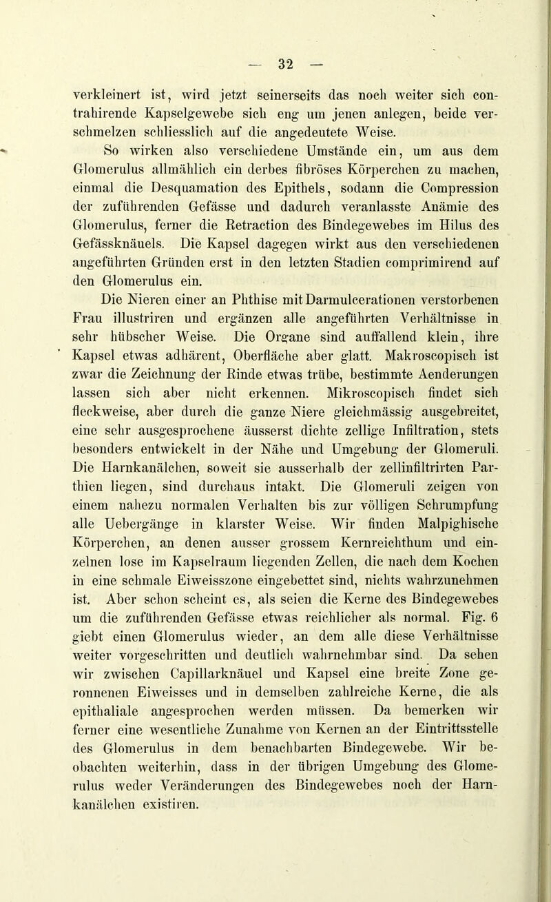 verkleinert ist, wird jetzt seinerseits das noch weiter sich con- trahirende Kapselgewebe sich eng um jenen anlegen, beide ver- schmelzen schliesslich auf die angedeutete Weise. So wirken also verschiedene Umstände ein, um aus dem Glomerulus allmählich ein derbes fibröses Körperchen zu machen, einmal die Desquamation des Epithels, sodann die Compression der zuführenden Gefässe und dadurch veranlasste Anämie des Glomerulus, ferner die Retraction des Bindegewebes im Hilus des Gefässknäuels. Die Kapsel dagegen wirkt aus den verschiedenen angeführten Gründen erst in den letzten Stadien comprimirend auf den Glomerulus ein. Die Nieren einer an Phthise mit Darmulcerationen verstorbenen Frau illustriren und ergänzen alle angeführten Verhältnisse in sehr hübscher Weise. Die Organe sind auffallend klein, ihre Kapsel etwas adhärent, Oberfläche aber glatt. Makroscopisch ist zwar die Zeichnung der Rinde etwas trübe, bestimmte Aenderungen lassen sich aber nicht erkennen. Mikroscopisch findet sich fleckweise, aber durch die ganze Niere gleichmässig ausgebreitet, eine sehr ausgesprochene äusserst dichte zellige Infiltration, stets besonders entwickelt in der Nähe und Umgebung der Glomeruli. Die Harnkanälchen, soweit sie ausserhalb der zellinfiltrirten Par- thien liegen, sind durchaus intakt. Die Glomeruli zeigen von einem nahezu normalen Verhalten bis zur völligen Schrumpfung- alle Uebergänge in klarster Weise. Wir finden Malpighische Körperchen, an denen ausser grossem Kernreichthum und ein- zelnen lose im Kapselraum liegenden Zellen, die nach dem Kochen in eine schmale Eiweisszone eingebettet sind, nichts wahrzunehmen ist. Aber schon scheint es, als seien die Kerne des Bindegewebes um die zuführenden Gefässe etwas reichlicher als normal. Fig. 6 giebt einen Glomerulus wieder, an dem alle diese Verhältnisse weiter vorgeschritten und deutlich wahrnehmbar sind. Da sehen wir zwischen Capillarknäuel und Kapsel eine breite Zone ge- ronnenen Eiweisses und in demselben zahlreiche Kerne, die als epithaliale angesprochen werden müssen. Da bemerken wir ferner eine wesentliche Zunahme von Kernen an der Eintrittsstelle des Glomerulus in dem benachbarten Bindegewebe. Wir be- obachten weiterhin, dass in der übrigen Umgebung des Glome- rulus weder Veränderungen des Bindegewebes noch der Harn- kanälchen existiren.