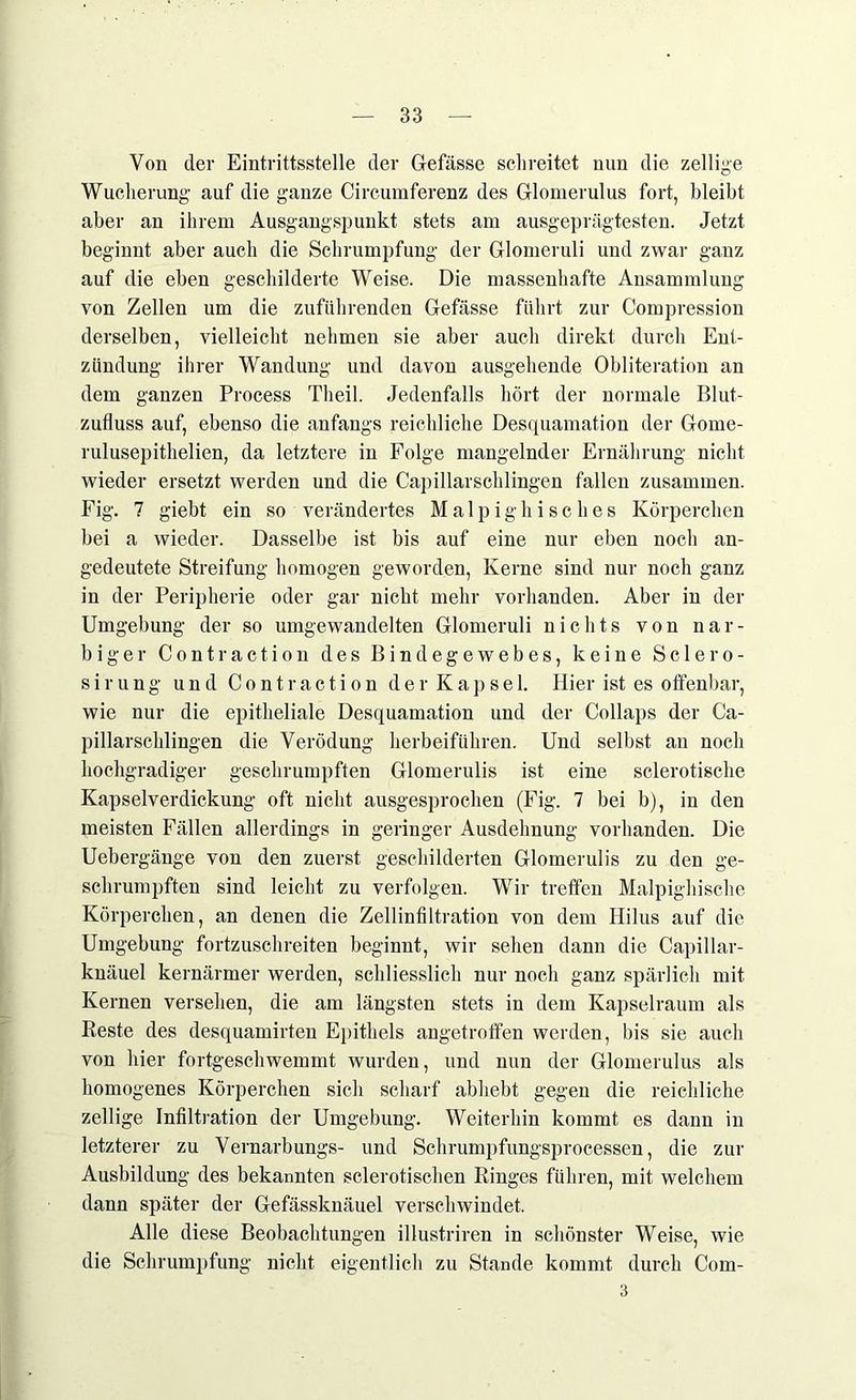 Von der Eintrittsstelle der G-efässe schreitet nun die zellige Wucherung auf die ganze Circumferenz des Glomerulus fort, bleibt aber an ihrem Ausgangspunkt stets am ausgeprägtesten. Jetzt beginnt aber auch die Schrumpfung der Glomeruli und zwar ganz auf die eben geschilderte Weise. Die massenhafte Ansammlung von Zellen um die zuführenden Gefässe führt zur Compression derselben, vielleicht nehmen sie aber auch direkt durch Ent- zündung ihrer Wandung und davon ausgehende Obliteration an dem ganzen Process Theil. Jedenfalls hört der normale Blut- zufluss auf, ebenso die anfangs reichliche Desquamation der Gome- rulusepithelien, da letztere in Folge mangelnder Ernährung nicht wieder ersetzt werden und die Capillarschlingen fallen zusammen. Fig. 7 giebt ein so verändertes Malpighisches Körperchen bei a wieder. Dasselbe ist bis auf eine nur eben noch an- gedeutete Streifung homogen geworden, Kerne sind nur noch ganz in der Peripherie oder gar nicht mehr vorhanden. Aber in der Umgebung der so umgewandelten Glomeruli nichts von nar- biger Contraction des Bindegewebes, keine Sclero- sirung und Contraction der Kapsel. Hier ist es offenbar, wie nur die epitheliale Desquamation und der Collaps der Ca- pillarschlingen die Verödung herbeiführen. Und selbst an noch hochgradiger geschrumpften Glomerulis ist eine sclerotische Kapselverdickung oft nicht ausgesprochen (Fig. 7 bei b), in den meisten Fällen allerdings in geringer Ausdehnung vorhanden. Die Uebergänge von den zuerst geschilderten Glomerulis zu den ge- schrumpften sind leicht zu verfolgen. Wir treffen Malpigldsche Körperchen, an denen die Zellinfiltration von dem Hilus auf die Umgebung fortzuschreiten beginnt, wir sehen dann die Capillar- knäuel kernärmer werden, schliesslich nur noch ganz spärlich mit Kernen versehen, die am längsten stets in dem Kapselraum als Reste des desquamirten Epithels angetrofifen werden, bis sie auch von hier fortgeschwemmt wurden, und nun der Glomerulus als homogenes Körperchen sich scharf abhebt gegen die reichliche zeitige Infiltration der Umgebung. Weiterhin kommt es dann in letzterer zu Vernarbungs- und Schrumpfungsprocessen, die zur Ausbildung des bekannten sclerotischen Ringes führen, mit welchem dann später der Gefässknäuel verschwindet. Alle diese Beobachtungen illustriren in schönster Weise, wie die Schrumpfung nicht eigentlich zu Stande kommt durch Com- 3