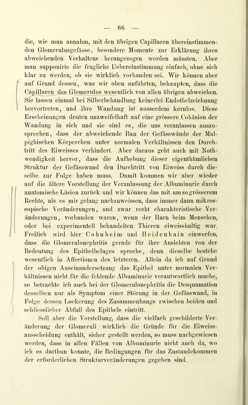 1 die, wie man annahm, mit den übrigen Capillaren übereinstimmen- den Glomerulusgefässe, besondere Momente zur Erklärung ihres abweichenden Verhaltens herangezogen werden müssten. Aber man supponirte die fragliche Uebereinstimmung einfach, ohne sich klar zu werden, ob sie wirklich vorhanden sei. Wir können aber auf Grund dessen, was wir oben anführten, behaupten, dass die Capillaren des Glomerulus wesentlich von allen übrigen abweichen. Sie lassen einmal bei Silberbehandlung keinerlei Endothelzeichnung hervortreten, und ihre Wandung ist ausserdem kernlos. Diese Erscheinungen deuten unzweifelhaft auf eine grössere Cohäsion der Wandung in sich und sie sind es, die uns veranlassen auszu- sprechen, dass der abweichende Rau der Gefässwände der Mal- pighischen Körperchen unter normalen Verhältnissen den Durch- tritt des Eiweisses verhindert. Aber daraus geht auch mit Noth- wendigkeit hervor, dass die Aufhebung dieser eigenthiimlichen Struktur der Gefässwand den Durchtritt von Eiweiss durch die- selbe zur Folge haben muss. Damit kommen wir aber wieder auf die ältere Vorstellung der Veranlassung der Albuminurie durch anatomische Läsion zurück und wir können das mit um so grösserem Rechte, als es mir gelang nachzuweissen, dass immer dann mikros- copische Veränderungen, und zwar recht charakteristische Ver- änderungen, vorhanden waren, wenn der Harn beim Menschen, oder bei experimentell behandelten Thieren eiweisshaltig war. Freilich wird hier Cohn heim und Heidenhain einwerfen, dass die Glomerulonephritis gerade für ihre Ansichten von der Bedeutung des Epithelbelages spreche, denn dieselbe bestehe wesentlich in Affectionen des letzteren. Allein da ich auf Grund der obigen Auseinandersetzung das Epithel unter normalen Ver- hältnissen nicht für die fehlende Albuminurie verantwortlich mache, so betrachte ich auch bei der Glomerulonephritis die Desquamation desselben nur als Symptom einer Störung in der Gefässwand, in Folge dessen Lockerung des Zusammenhangs zwischen beiden und schliesslicher Abfall des Epithels eintritt. Soll aber die Vorstellung, dass die vielfach geschilderte Ver- änderung der Glomeruli wirklich die Gründe für die Eiweiss- ausscheidung enthält, sicher gestellt werden, so muss nachgewiesen werden, dass in allen Fällen von Albuminurie nicht auch da, wo ich es darthun konnte, die Bedingungen für das Zustandekommen der erforderlichen Strukturveränderungen gegeben sind.