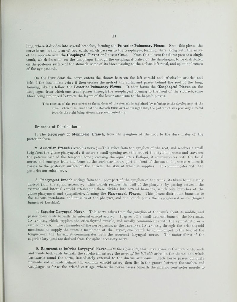 lung, where it divides into several branches, forming the Posterior Pulmonary Plexus. From this plexus the nerve issues in the form of two cords, which pass on to the oesophagus, forming there, along with the nerve of the opposite side, the (Esophageal Plexus or Plexus Gul;e. From this plexus the fibres pass as a single trunk, which descends on the oesophagus through the oesophageal orifice of the diaphragm, to be distributed on the posterior surface of the stomach, some of its fibres passing to the coeliac, left renal, and splenic plexuses of the sympathetic. On the Left Side the nerve enters the thorax between the left carotid and subclavian arteries and behind the innominate vein; it then crosses the arch of the aorta, and passes behind the root of the lung, forming, like its fellow, the Posterior Pulmonary Plexus. It then forms the (Esophageal Plexus on the oesophagus, from which one trunk passes through the oesophageal opening to the front of the stomach, some fibres being prolonged between the layers of the lesser omentum to the hepatic plexus. This relation of the two nerves to the surfaces of the stomach is explained by referring to the development of the organ, when it is found that the stomach turns over on its right side, the part which was primarily directed towards the right being afterwards placed posteriorly. Branches of Distribution— 1. The Recurrent or Meningeal Branch, from the ganglion of the root to the dura mater of the posterior fossa. 2. Auricular Branch (Arnold’s nerve).—This arises from the ganglion of the root, and receives a small twig from the glosso-pharyngeal; it enters a small opening near the root of the styloid process and traverses the petrous part of the temporal bone; crossing the aqueductus Fallopii, it communicates with the facial nerve, and emerges from the bone at the auricular fissure just in front of the mastoid process, whence it passes to the posterior surface of the auricle, the skin of which it supplies. It communicates with the posterior auricular nerve. 3. Pharyngeal Branch springs from the upper part of the ganglion of the trunk, its fibres being mainly derived from the spinal accessory. This branch reaches the wall of the pharynx, by passing between the external and internal carotid arteries; it there divides into several branches, which join branches of the glosso-pharyngeal and sympathetic, forming the Pharyngeal Plexus. This plexus distributes branches to the mucous membrane and muscles of the pharynx, and one branch joins the hypo-glosssal nerve (lingual branch of Lusclika). 4. Superior Laryngeal Nerve.—This nerve arises from the ganglion of the trunk about its middle, and passes downwards beneath the internal carotid artery. It gives off a small external branch—the External Laryngeal, which supplies the crico-thyroid muscle, and usually communicates with the sympathetic or a cardiac branch. The remainder of the nerve passes, as the Internal Laryngeal, through the crico-thyroid membrane to supply the mucous membrane of the larynx, one branch being prolonged to the base of the tongue:—in the larynx, it communicates with the recurrent laryngeal nerve. The motor fibres of the superior laryngeal are derived from the spinal accessory nerve. 5. Recurrent or Inferior Laryngeal Nerve.—Ore the right side, this nerve arises at the root of the neck and winds backwards beneath the subclavian artery; the nerve of the left side arises in the thorax, and winds backwards round the aorta, immediately external to the ductus arteriosus. Each nerve passes obliquely upwards and inwards behind the common carotid artery, then lies in the groove between the trachea and oesophagus as far as the cricoid cartilage, where the nerve passes beneath the inferior constrictor muscle to