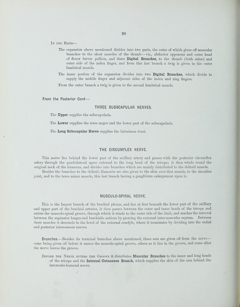In the Hand— The expansion above mentioned divides into two parts, the outer of which gives off muscular branches to the short muscles of the thumb—viz., abductor opponens and outer head of flexor brevis pollicis, and three Digital Branches, to the thumb (both sides) and outer side of the index finger, and from this last branch a twig is given to the outer lumbrical muscle. The inner portion of the expansion divides into two Digital Branches, which divide to supply the middle finger and adjacent sides of the index and ring fingers. From the outer branch a twig is given to the second lumbrical muscle. From the Posterior Cord — THREE SUBSCAPULAR NERVES. The Upper supplies the subscapularis. The Lower supplies the teres major and the lower part of the subscapularis. The Long Subscapular Nerve supplies the latissimus dorsi. THE CIRCUMFLEX NERVE. This nerve lies behind the lower part of the axillary artery and passes with the posterior circumflex artery through the quadrilateral space external to the long head of the triceps; it then winds round the surgical neck of the humerus, and divides into branches which are mainly distributed to the deltoid muscle. Besides the branches to the deltoid, filaments are also given to the skin over that muscle, to the shoulder joint, and to the teres minor muscle, this last branch having a gangliform enlargement upon it. MUSCULO-SPIRAL NERVE. This is the largest branch of the brachial plexus, and lies at first beneath the lower part of the axillary and upper part of the brachial arteries, it then passes between the outer and inner heads of the triceps and enters the musculo-spiral groove, through which it winds to the outer side of the limb, and reaches the interval between the supinator longus and brachialis anticus by piercing the external inter-muscular septum. Between these muscles it descends to the level of the external condyle, where it terminates by dividing into the radial and posterior interosseous nerves. Branches.—Besides its terminal branches above mentioned, three sets are given off from the nerve— some being given off before it enters the musculo-spiral groove, others as it lies in the groove, and some after the nerve leaves the groove. Before the Nerve enters the Groove it distributes Muscular Branches to the inner and long heads of the triceps and the Internal Cutaneous Branch, which supplies the skin of the arm behind the intercosto-humeral nerve.
