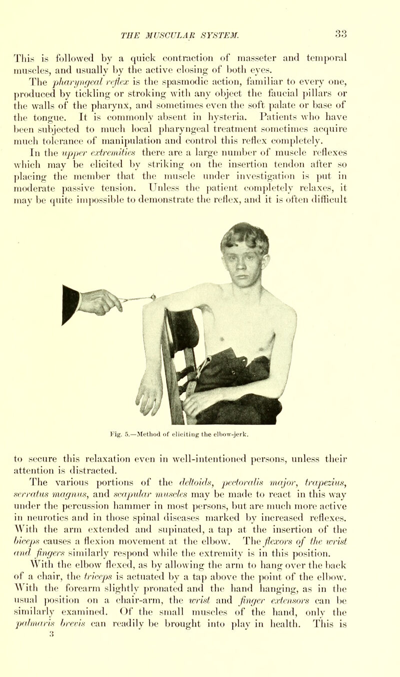 This is followed by a quick contraction of masseter and temporal muscles, and usually by the active closing of both eyes. The pharyngeal reflex is the spasmodic action, familiar to every one, produced by tickling or stroking with any object the faucial pillars or the walls of the pharynx, and sometimes even the soft palate or base of the tongue. It is commonly absent in hysteria. Patients who have been subjected to much local pharyngeal treatment sometimes acquire much tolerance of manipulation and control this reflex completely. In the upper extremities there are a large number of muscle reflexes which may be elicited by striking on the insertion tendon after so placing the member that the muscle under investigation is put in moderate passive tension. Unless the patient completely relaxes, it may be quite impossible to demonstrate the reflex, and it is often difficult Kig. 5.—Method of eliciting tlie elbow-jerk. to secure this relaxation even in well-intentioned persons, unless their attention is distracted. The various portions of the deltoids, peetoralis major, trapezius, serratus magnus, and scapular muscles may be made to react in this way under the percussion hammer in most persons, but are much more active in neurotics and in those spinal diseases marked by increased reflexes. With the arm extended and supinated, a tap at the insertion of the biceps causes a flexion movement at the elbow. The flexors of the wrist and fingers similarly respond while the extremity is in this position. With the elbow flexed, as by allowing the arm to hang over the back of a chair, the triceps is actuated by a tap above the point of the elbow. With the forearm slightly pronated and the hand hanging, as in the usual position on a chair-arm, the wrist and finger extensors can he similarly examined. Of the small muscles of the hand, only the palmaris brevis can readily be brought into play in health. This is :5