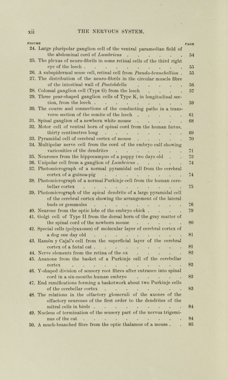 FIGURE PAGE 24. Large pluripolar ganglion cell of the ventral paramedian field of the abdominal cord of Lumbricus 54 25. The plexus of neuro-fibrils in some retinal cells of the third right eye of the leech 55 26. A subepidermal sense cell, retinal cell from Pseudo-branchellion . 55 27. The distribution of the neuro-fibrils in the circular muscle fibre of the intestinal wall of Pontobdella 56 28. Colossal ganglion cell (Type G) from the leech . . . .57 29. Three pear-shaped ganglion cells of Type K, in longitudinal sec- tion, from the leech 59 30. The course and connections of the conducting paths in a trans- verse section of the somite of the leech 61 31. Spinal ganglion of a newborn white mouse 68 32. Motor cell of ventral horn of spinal cord from the human foetus, thirty centimetres long 69 33. Pyramidal cell of cerebral cortex of mouse 70 34. Multipolar nerve cell from the cord of the embryo calf showing- varicosities of the dendrites 71 35. Neurones from the hippocampus of a puppy two days old . . 73 36. Unipolar cell from a ganglion of Lumbricus ..... 74 37. Photomicrograph of a normal pyramidal cell from the cerebral cortex of a guinea-pig 74 38. Photomicrograph of a normal Purkinje cell from the human cere- bellar cortex 75 39. Photomicrograph of the apical dendrite of a large pyramidal cell of the cerebral cortex showing the arrangement of the lateral buds or gemmules 76 40. Neurone from the optic lobe of the embryo chick .... 79 41. Golgi cell of Type II from the dorsal horn of the gray matter of the spinal cord of the newborn mouse 80 42. Special cells (polyaxones) of molecular layer of cerebral cortex of a dog one day old 81 43. Ramon y Cajal’s cell from the superficial layer of the cerebral cortex of a foetal cat 81 44. Nerve elements from the retina of the ox 82 45. Anaxone from the basket of a Purkinje cell of the cerebellar cortex ........... 82 46. Y-shaped division of sensory root fibres after entrance into spinal cord in a six-months human embryo 83 47. End ramifications forming a basketwork about two Purkinje cells of the cerebellar cortex 83 48. The relations in the olfactory glomeruli of the axones of the olfactory neurones of the first order to the dendrites of the mitral cells in birds 84 49. Nucleus of termination of the sensory part of the nervus trigemi- nus of the cat .......... 84 50. A much-branched fibre from the optic thalamus of a mouse . . 85