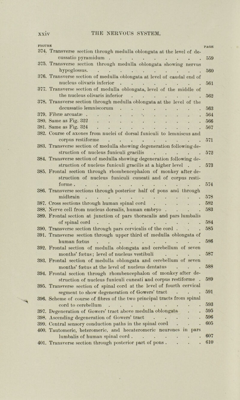 FIGURE 374. Transverse section through medulla oblongata at the level of de- cussatio pyramid uni 375. Transverse section through medulla oblongata showing nervus hypoglossus 376. Transverse section of medulla oblongata at level of caudal end of nucleus olivaris inferior 377. Transverse section of medulla oblongata, level of the middle of the nucleus olivaris inferior 378. Transverse section through medulla oblongata at the level of the decussatio lemniseorum 379. Fibrse arcuatai 380. Same as Fig. 323 .......... 381. Same as Fig. 324 382. Course of axones from nuclei of dorsal funiculi to lemniscus and corpus restiforme 383. Transverse section of medulla showing degeneration following de- struction of nucleus funiculi gracilis 384. Transverse section of medulla showing degeneration following de- struction of nucleus funiculi gracilis at a higher level . 385. Frontal section through rhombencephalon of monkey after de- struction of nucleus funiculi cuneati and of corpus resti- forme 386. Transverse sections through posterior half of pons and through midbrain 387. Cross sections through human spinal cord 388. Nerve cell from nucleus dorsalis, human embryo . . . . 389. Frontal section at junction of pars thoracalis and pars lumbalis of spinal cord 390. Transverse section through pars cervicalis of the cord . 391. Transverse section through upper third of medulla oblongata of human foetus 392. Frontal section of medulla oblongata and cerebellum of seven months’foetus; level of nucleus vestibuli . . . . 393. Frontal section of medulla oblongata and cerebellum of seven months’ foetus at the level of nucleus dentatus 394. Frontal section through rhombencephalon of monkey after de- struction of nucleus funiculi cuneati and corpus restiforme . 395. Transverse section of spinal cord at the level of fourth cervical segment to show degeneration of Gowers' tract 396. Scheme of course of fibres of the two principal tracts from spinal cord to cerebellum ......... 397. Degeneration of Gowers’ tract above medulla oblongata 398. Ascending degeneration of Gowers’ tract ..... 399. Central sensory conduction paths in the spinal cord 400. Tautomeric, heteromeric, and hecateromeric neurones in pars lumbalis of human spinal cord ....... 401. Transverse section through posterior part of pons . . . . PAGE 559 560 561 562 563 564 566 567 571 572 573 574 578 582 583 584 585 586 587 588 589 591 593 595 596 605 607 610