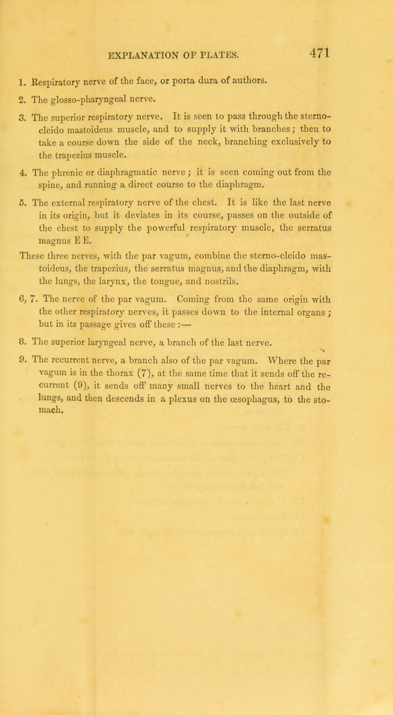 1. Respiratory nerve of the face, or porta dura of authors. 2. The glosso-pluaryngeal nerve. 3. The superior respiratory nerve. It is seen to pass through the sterno- cleido mastoideus muscle, and to supply it with branches; then to take a course down the side of the neck, branching exclusively to the trapezius muscle. 4. The phrenic or diaphragmatic nerve ; it is seen coming out from the spine, and running a direct course to the diaphragm. 5. The external respiratory nerve of the chest. It is like the last nerve in its origin, but it deviates in its course, passes on the outside of the chest to supply the powerful respiratory muscle, the serratus magnus E E. These three nerves, with the par vagum, combine the stemo-cleido mas- toideus, the trapezius, the serratus magnus, and the diaphragm, with the lungs, the larynx, the tongue, and nostrils. 6. 7. The nerve of the par vagum. Coming from the same origin with the other respiratory nerves, it passes down to the internal organs ; but in its passage gives off these :— 8. The superior laryngeal nerve, a branch of the last nerve. 9. The recurrent nerve, a branch also of the par vagum. Where the par vagum is in the thorax (7), at the same time that it sends off the re- current (9), it sends off many small nerves to the heart and the lungs, and then descends in a plexus on the oesophagus, to the sto- mach.