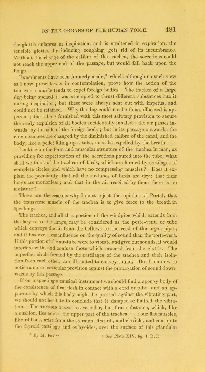 the glottis enlarges in inspiration, and is straitened in expiration, the sensible glottis, by inducing coughing, gets rid of its incumbrance. Without this change of the calibre of the trachea, the secretions could not reach the upper end of the passage, but would fall back upon the lungs. Experiments have been formerly made,* which, although no such view as I now present was in contemplation, prove how the action of the transverse muscle tends to expel foreign bodies. The trachea of a large dog being opened, it was attempted to thrust different substances into it during inspiration; but these were always sent out with impetus, and could not be retained. Why the dog could not be thus suffocated is ap- parent ; the tube is furnished with this most salutary provision to secure the ready expulsion of all bodies accidentally inhaled; the air passes in- wards, by the side of the foreign body; but in its passage outwards, the circumstances are changed by the diminished calibre of the canal, and the body, like a pellet filling up a tube, must be expelled by the breath. Looking on the form and muscular structure of the trachea in man, as providing for expectoration of the secretions poured into the tube, what shall we think of the tracheae of birds, which are formed by cartilages of complete circles, and which have no compressing muscles ? Does it ex- plain the peculiarity, that all the air-tubes of birds are dry; that their lungs are motionless; and that in the air respired by them there is no moisture ? These are the reasons why I must reject the opinion of Portal, that the transverse muscle of the trachea is to give force to the breath in speaking. The trachea, and all that portion of the windpipe which extends from the larynx to the lungs, may be considered as the porte-vent, or tube which conveys the air from the bellows to the reed of the organ-pipe ; and it has even less influence on the quality of sound than the porte-vent. If this portion of the air-tube were to vibrate and give out sounds, it would interfere with, and confuse those which proceed from the glottis. The imperfect circle formed by the cartilages of the trachea and their isola- tion from each other, arc ill suited to convey sound.—But I am now to notice a more particular provision against the propagation of sound down- wards by this passage. If on inspecting a musical instrument we should find a spongy body of the consistence of firm flesh in contact with a cord or tube, and an ap- paratus by which this body might be pressed against the vibrating part, we should not hesitate to conclude that it damped or limited the vibra- tion. The tuyuoid gland is a vascular, but firm substance, which, like a cushion, lies across the upper part of the trachea.+ Four flat muscles, like ribbons, arise from the sternum, first rib, and clavicle, and run up to the thyroid cartilage and os liyoides, over the surface of this glandular * By M. Favicr. t Sea Plate XIV. fig. 1. D. D.