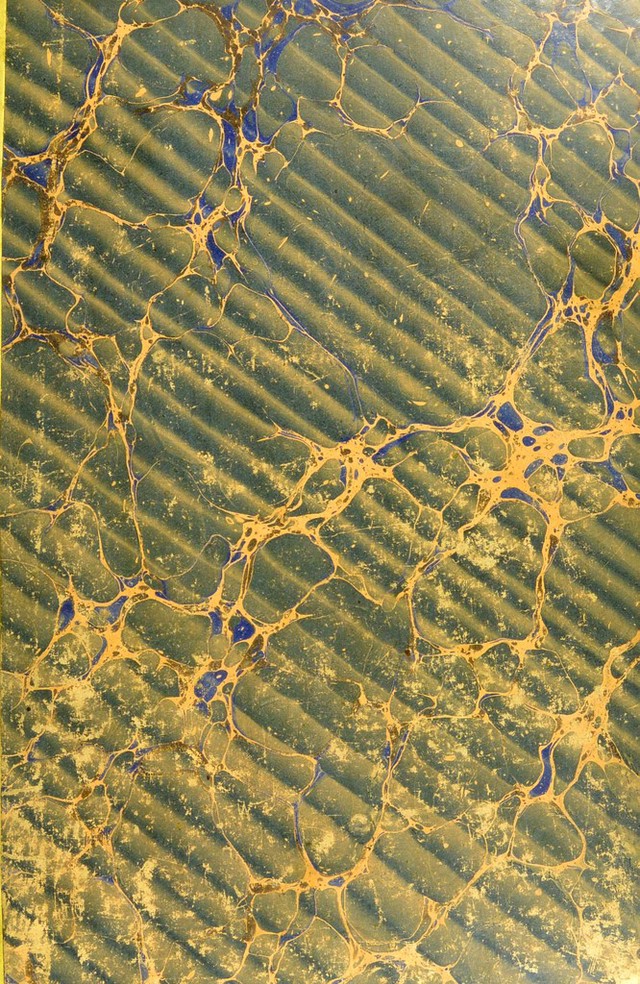 No text description is available for this image