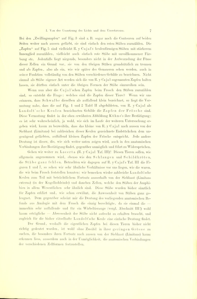 Bei den „ Zwillingszapfen'' auf Fig. 3 sind z.B. sogar noch die Contouren auf beiden Seiten weiter nach aussen gefärbt, sie sind einfach den roten Stäben zuzuzählen. Die „Zapfen auf Fig. 5 shid vielleicht R. y C aj al's keulenförmigen Stäben mit stärkerem Innenglied zuzuzählen, vielleicht auch einfach rote Stäbe mit unvollkommener Fär- bung etc. Jedenfalls liegt nirgends, besonders nicht in der Aufwurzelung der Füsse dieser Zellen ein Grund vor, sie von den übrigen Stäben grundsätzlich zu trennen und als Zapfen, also als ein, wie wir später des Genaueren sehen werden, auch in seiner Funktion vollständig von den Stäben verschiedenes Gebilde zu bezeichnen. Nicht einmal als Stäbe eigener Art werden sich die von I». y Cajal sogenannten Zapfen halten lassen, sie dürften einfach unter die übrigen Formen der Stäbe einzureihen sein. Wenn nun aber die Cajal'schen Zapfen beim Frosch den Stäben zuzuzählen sind, so entsteht die Frage: welches sind die Zapfen dieser Tiere? Wenn wir uns erinnern, dass Schwalbe dieselben als auffallend klein bezeichnet, so liegt die Ver- mutung nahe, dass die auf Fig. 1 und 2 Tafel II abgebildeten, von R. y Cajal als Landolt'sche Keulen bezeichneten Gebilde die Zapfen der Frösche sind. Diese Vermutung findet in der oben erwähnten Abbildung Kühnes ihre Bestätigung: es ist sein- wahrscheinlich, ja wohl, wie sich im Laufe der weiteren Untersuchung er- geben wird, kaum zu bezweifeln, dass das kleine von R. y Cajal nach aussen von der Siebhaut (Limitans) bei zahlreichen dieser Keulen gezeichnete Endstückchen dem un- genügend gefärbten, auffallend kleinen Zapfen der Frösche entspricht. Jede andere Deutung ist dieser, die, wie sich weiter unten zeigen wird, auch in den anatomischen Verbindungen ihre Bestätigung findet, gegenüber unmöglich und führt zu Widersprüchen. Gehen wir weiter zu Lacerta (R. y Cajal Taf. III)! Diesen Tieren sollen, wie allgemein angenommen wird, ebenso wie den Schlangen und Schildkröten, die Stäbe ganz fehlen. Betrachten wir dagegen auf R, y Cajal's Taf. III die Fi- guren 1 und 7. so sehen wir sehr ähnliche Verhältnisse vor uns liegen, wie die waren, die wir beim Frusch lest st eilen konnten: wir bemerken wieder zahlreiche Landolt'sche Keulen zum Teil mit beträchtlichem Fortsatz ausserhalb von der Siebhaut (Limitans externa) (in der Kugelhohlrinde) und daneben Zellen, welche den Stäben der Amphi- bien in allem Wesentlichen sehr ähnlich sind. Diese Stäbe wurden bisher sämtlich für Zapfen erklärt und. wie schon erwähnt, die Anwesenheit von Stäben ganz ge- leugnet. Dem gegenüber scheint mir die Deutung des vorliegenden anatomischen Be- funds aus Analogie mit dem Frosch die einzig berechtigte, da sie einmal die - immerhin sehr auffallende und für ein Wirbeltierauge (vergl. Abschnitt III!) wohl kaum erträgliche — Abwesenheit der Stäbe nicht aufrecht zu erhalten braucht, und zugleich für die bisher rätselhafte Landolt'sche Keule eine einfache Deutung findet. Der Grund, weshalb die eigentlichen Zapfen bei diesen Tieren bisher nicht richtig gedeutet wurden, ist wohl ohne Zweifel in ihrer geringen Grösse zu suchen, die besonders ihren Fortsatz nach aussen von der Siebhaut (Limitans) kaum erkennen liess, ausserdem auch in der Unmöglichkeit, die anatomischen Verbindungen der verschiedenen Zellformen festzustellen.