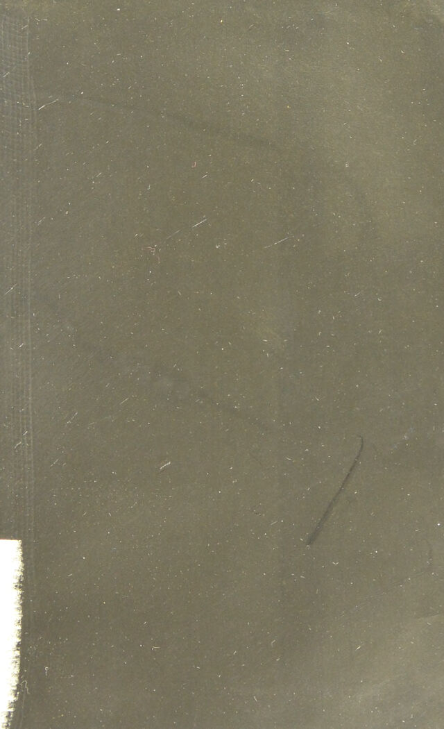 digitised image 3