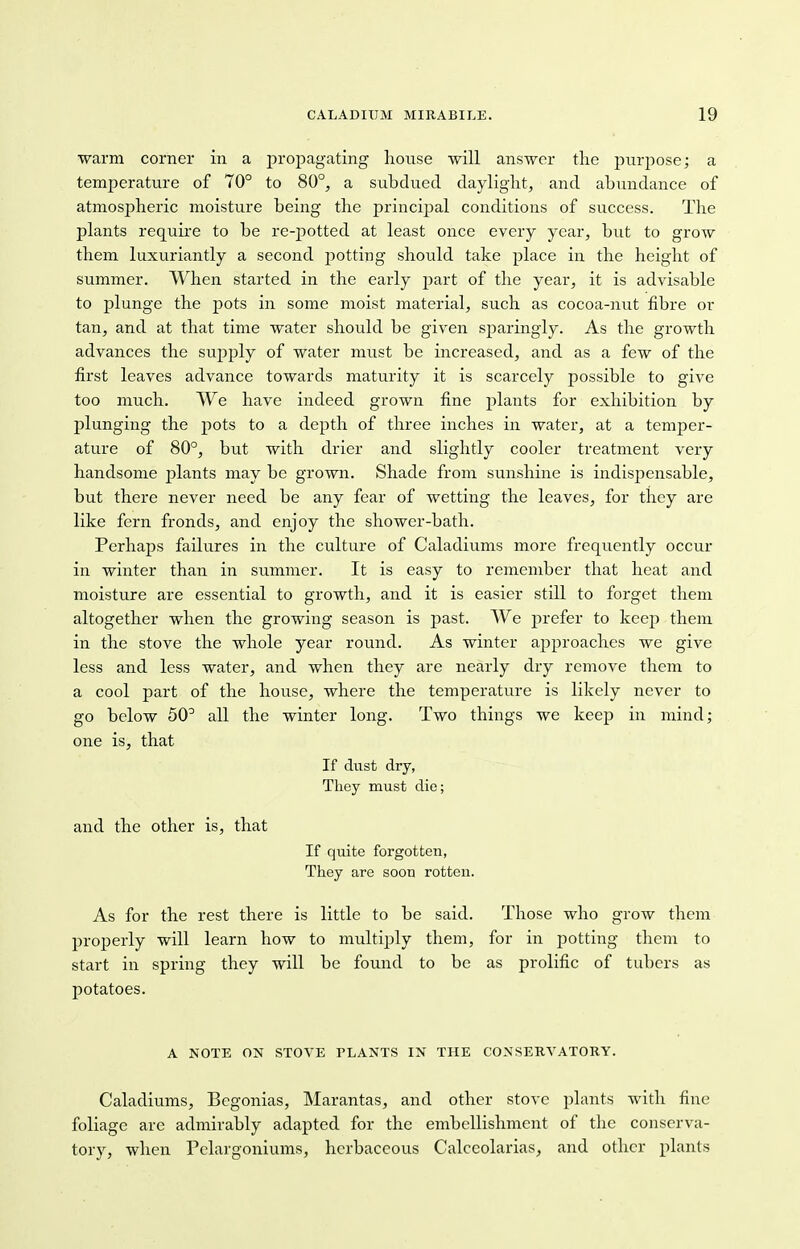 warm corner in a propagating house will answer the purpose; a temperature of 70° to 80°, a subdued daylight, and abundance of atmosjmeric moisture being the principal conditions of success. The plants require to be re-potted at least once every year, but to grow them luxuriantly a second potting should take place in the height of summer. When started in the early part of the year, it is advisable to plunge the pots in some moist material, such as cocoa-nut fibre or tan, and at that time water should be given sparingly. As the growth advances the supply of water must be increased, and as a few of the first leaves advance towards maturity it is scarcely possible to give too much. We have indeed grown fine plants for exhibition by plunging the pots to a depth of three inches in water, at a temper- ature of 80°, but with drier and slightly cooler treatment very handsome plants may be grown. Shade from sunshine is indisjaensable, but there never need be any fear of wetting the leaves, for they are like fern fronds, and enjoy the shower-bath. Perhaps failures in the culture of Caladiums more frequently occur in winter than in summer. It is easy to remember that heat and moisture are essential to growth, and it is easier still to forget them altogether when the growing season is past. We prefer to keep them in the stove the whole year round. As winter approaches we give less and less water, and when they are nearly dry remove them to a cool part of the house, where the temperature is likely never to go below 50° all the winter long. Two things we keep in mind; one is, that If dust dry, They must die; and the other is, that If quite forgotten, They are soon rotten. As for the rest there is little to be said. Those who grow them properly will learn how to multiply them, for in potting them to start in spring they will be found to be as prolific of tubers as potatoes. A NOTE ON STOVE PLANTS IN THE CONSERVATORY. Caladiums, Begonias, Marantas, and other stove plants with fine foliage are admirably adapted for the embellishment of the conserva- tory, when Pelargoniums, herbaceous Calceolarias, and other plants