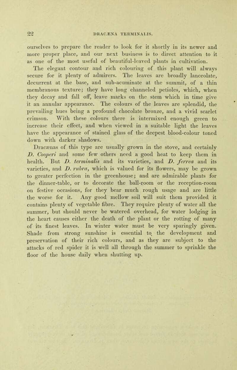 ourselves to prejjare the reader to look for it shortly in its newer and more proper place, and our next business is to direct attention to it as one of the most useful of beautiful-leaved plants in cultivation. The elegant contour and rich colouring of this plant will always secure for it plenty of admirers. The leaves are broadly lanceolate, decurrent at the base, and sub-acuminate at the summit, of a thin membranous texture; they have long channeled petioles, which, when they decay and fall off, leave marks on the stem which in time give it an annular appearance. The colours of the leaves are splendid, the prevailing hues being a profound chocolate bronze, and a vivid scarlet crimson. With these colours there is intermixed enough green to increase their effect, and when viewed in a suitable light the leaves have the appearance of stained glass of the deepest blood-colour toned down with darker shadows. Dracaenas of this type are usually grown in the stove, and certainly D. Coopcri and some few others need a good heat to keep them in health. But D. terminalis and its varieties, and D. ferrea and its varieties, and D. rubra, which is valued for its flowers, may be grown to greater perfection in the greenhouse; and are admirable plants for the dinner-table, or to decorate the ball-room or the reception-room on festive occasions, for they bear much rough usage and are little the worse for it. Any good mellow soil will suit them jDrovided it contains plenty of vegetable fibre. They require plenty of water all the summer, but should never be watered overhead, for water lodging in the heart causes either the death of the plant or the rotting of many of its finest leaves. In winter water must be very sparingly given. Shade from strong sunshine is essential to. the development and preservation of their rich colours, and as they are subject to the attacks of red spider it is well all through the summer to sprinkle the floor of the house daily when shutting up.