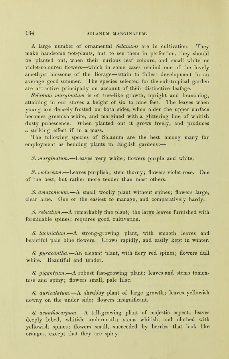 134 A large number of ornamental Solanums are in cultivation. They make handsome pot-plants, but to see them in perfection, they should be planted out, when their curious leaf colours, and small white or violet-coloured flowers—which in some cases remind one of the lovely amethyst blossoms of the Borage—attain to fullest development in an average good summer. The species selected for the sub-tropical garden are attractive principally on account of their distinctive leafage. Solanum marginatum is of tree-like growth, upright and branching, attaining in our stoves a height of six to nine feet. The leaves when young are densely frosted on both sides, when older the upper surface becomes greenish white, and margined with a glittering line of whitish dusty pubescence. When planted out it grows freely, and produces a striking effect if in a mass. The following species of Solanum are the best among many for employment as bedding plants in English gardens:— S. marginatum.—Leaves very white; flowers purple and white. S. violaceum.—Leaves purplish; stem thorny; flowers violet rose. One of the best, but rather more tender than most others. S. amazonicum.—A small woolly plant without spines; flowers large, clear blue. One of the easiest to manage, and comparatively hardy. S. rohustum.—A remarkably fine plant; the large leaves furnished with formidable spines: requires good cultivation. S. laciniatum.—A strong-growing plant, with smooth leaves and beautiful pale blue flowers. Grows rapidly, and easily kept in winter. S. pgracantha.—An elegant plant, with fiery red spines; flowers dull white. Beautiful and tender. S. giganteum.—A robust fast-growing plant; leaves and stems tomen- tose and spiny; flowers small, pale lilac. S. auriculatum.—A shrubby plant of large growth; leaves yellowish downy on the under side; flowers insignificant. S. acantliocarpum.—A tall-growing plant of majestic aspect; leaves deejAy lobed, whitish underneath; stems whitish, and clothed with yellowish spines; flowers small, succeeded by berries that look like oranges, except that they are spiny.