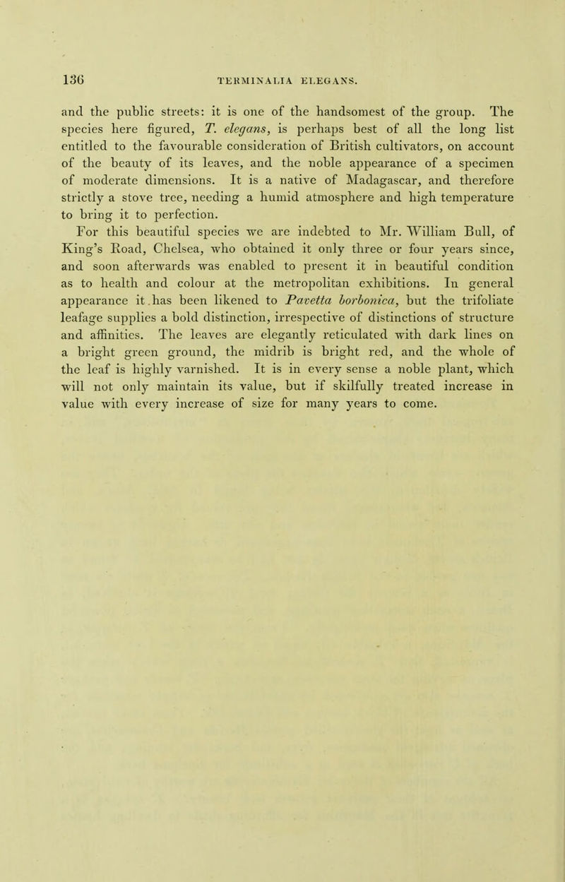 and the public streets: it is one of the handsomest of the group. The species here figured, T. elegans, is perhaps best of all the long list entitled to the favourable consideration of British cultivators, on account of the beauty of its leaves, and the noble appearance of a specimen of moderate dimensions. It is a native of Madagascar, and therefore strictly a stove tree, needing a humid atmosphere and high temperature to bring it to perfection. For this beautiful species we are indebted to Mr. William Bull, of King's Road, Chelsea, who obtained it only three or four years since, and soon afterwards was enabled to present it in beautiful condition as to health and colour at the metroj^olitan exhibitions. In general appearance it.has been likened to Pavctta horbonica, but the trifoliate leafage supplies a bold distinction, irrespective of distinctions of structure and affinities. The leaves are elegantly reticulated with dark lines on a bright green ground, the midrib is bright red, and the whole of the leaf is highly varnished. It is in every sense a noble plant, which will not only maintain its value, but if skilfully treated increase in value with every increase of size for many years to come.