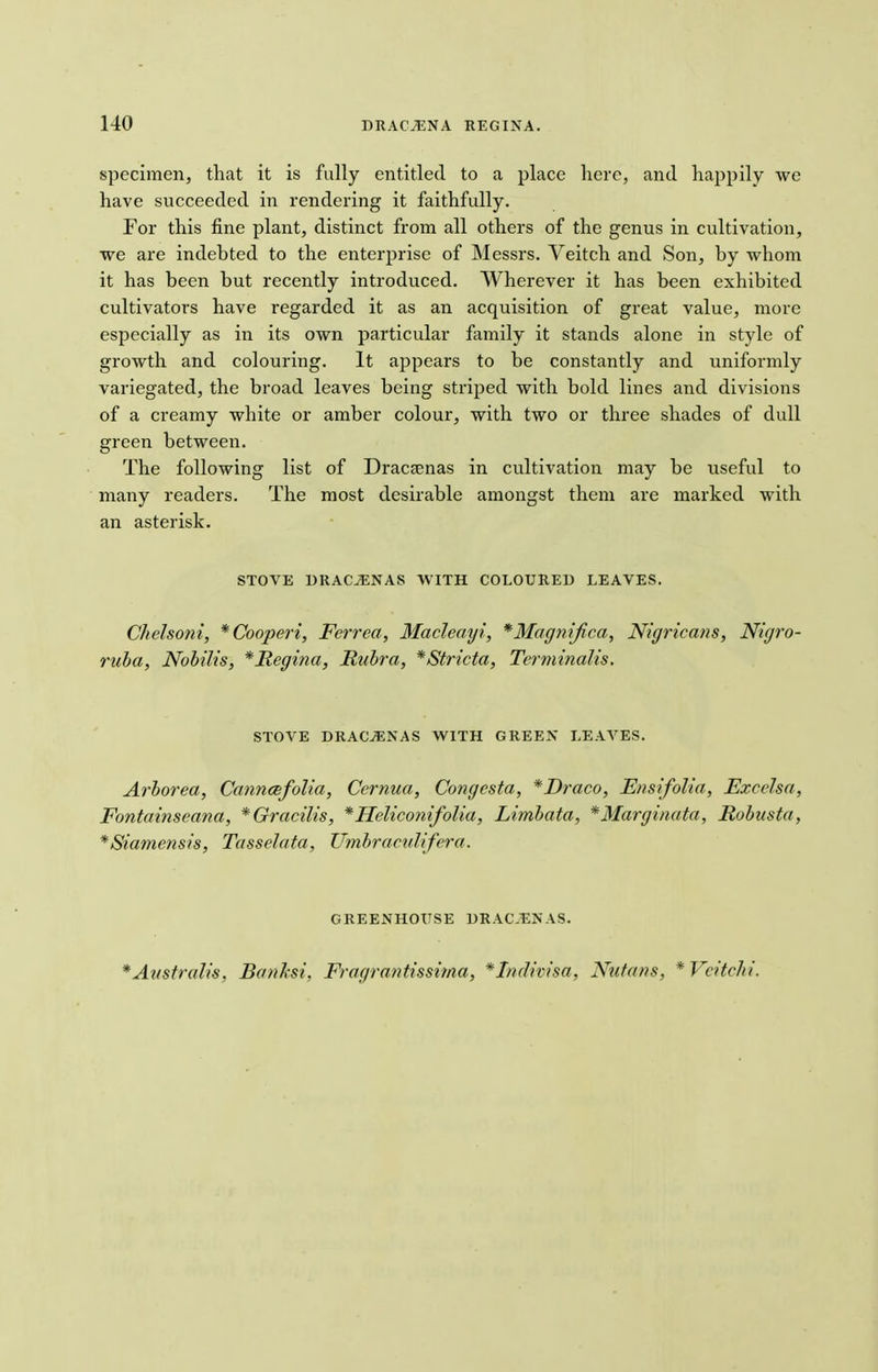 specimen, that it is fully entitled to a place here, and happily we have succeeded in rendering it faithfully. For this fine plant, distinct from all others of the genus in cultivation, we are indebted to the enterprise of Messrs. Veitch and Son, by whom it has been but recently introduced. Wherever it has been exhibited cultivators have regarded it as an acquisition of great value, more especially as in its own particular family it stands alone in style of growth and colouring. It appears to be constantly and uniformly variegated, the broad leaves being striped with bold lines and divisions of a creamy white or amber colour, with two or three shades of dull green between. The following list of Dracaenas in cultivation may be useful to many readers. The most desirable amongst them are marked with an asterisk. STOVE DRACAENAS WITH COLOURED LEAVES. Chelsoni, *Cooperi, Ferrea, Macleayi, *Magnified, Nigricans, Nigro- ruba, Nobilis, *Regina, Rubra, *Stricta, Terminalis. STOVE DRACAENAS WITH GREEN LEAVES. Arborea, Canneefolia, Cernua, Congcsta, *Draco, Ensifolia, Excelsa, Fontainseana, * Gracilis, *Heliconifolia, Limbata, *Marginata, Robusta, *Siamensis, Tasselata, Umbraculifera. GREENHOUSE DR AC-EN AS. *Ai(stralis, Banksi, Fragrantissima, *Indivisa, Nutans, *Vcitchi.