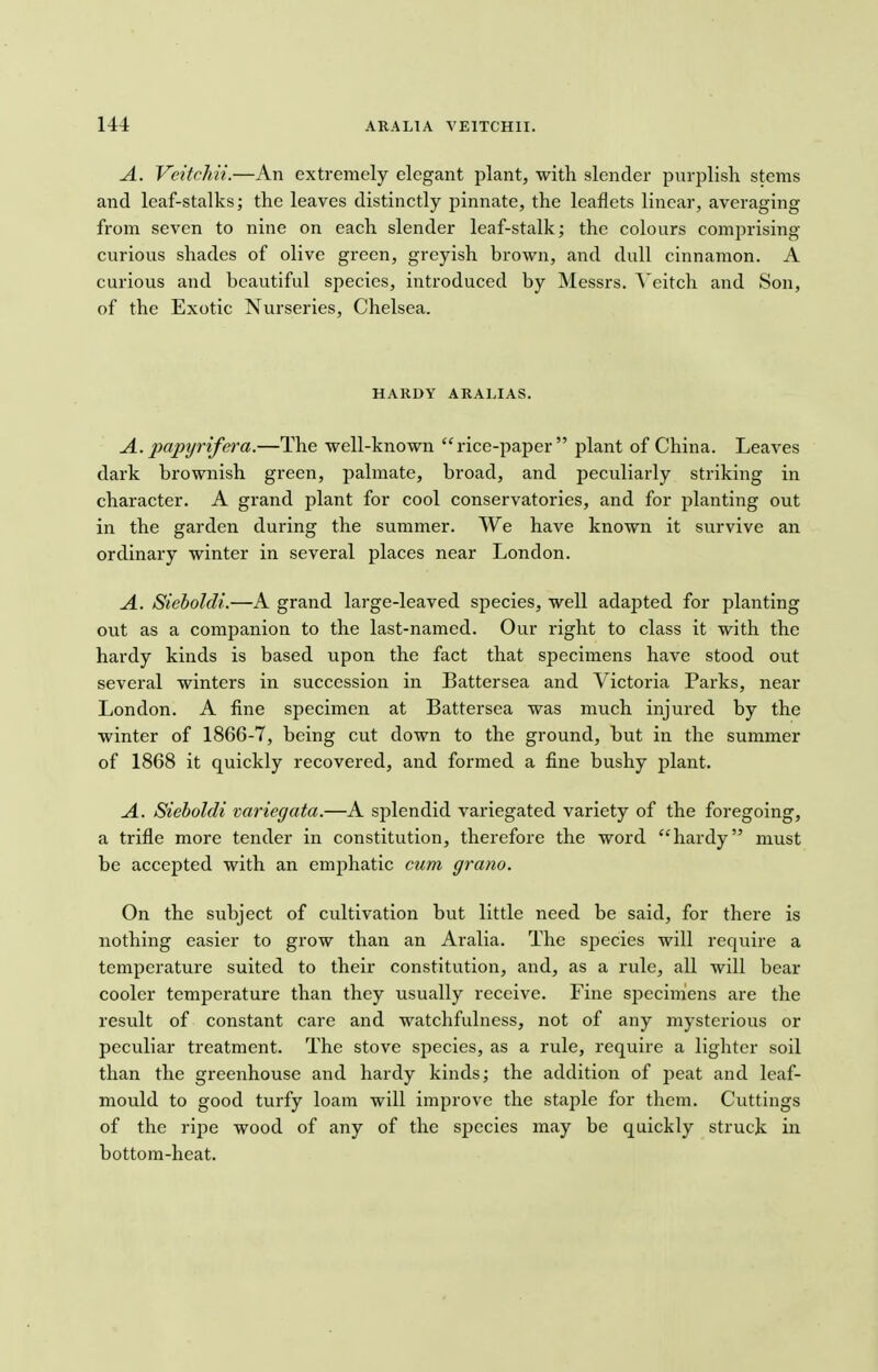 A. Veitchii.—An extremely elegant plant, with slender purplish stems and leaf-stalks; the leaves distinctly pinnate, the leaflets linear, averaging from seven to nine on each slender leaf-stalk; the colours comprising curious shades of olive green, greyish brown, and dull cinnamon. A curious and beautiful species, introduced by Messrs. Veitch and Son, of the Exotic Nurseries, Chelsea. HARDY ARALIAS. A. jxipyrifera.—The well-known rice-paper plant of China. Leaves dark brownish green, palmate, broad, and peculiarly striking in character. A grand plant for cool conservatories, and for planting out in the garden during the summer. We have known it survive an ordinary winter in several places near London. A. Sieboldi.—A grand large-leaved species, well adapted for planting out as a companion to the last-named. Our right to class it with the hardy kinds is based upon the fact that specimens have stood out several winters in succession in Battersea and Victoria Parks, near London. A fine specimen at Battersea was much injured by the winter of 1866-7, being cut down to the ground, but in the summer of 1868 it quickly recovered, and formed a fine bushy plant. A. Sieboldi variegata.—A splendid variegated variety of the foregoing, a trifle more tender in constitution, therefore the word hardy must be accepted with an emphatic cum grano. On the subject of cultivation but little need be said, for there is nothing easier to grow than an Aralia. The species will require a temperature suited to their constitution, and, as a rule, all will bear cooler temperature than they usually receive. Fine specimens are the result of constant care and watchfulness, not of any mysterious or peculiar treatment. The stove species, as a rule, require a lighter soil than the greenhouse and hardy kinds; the addition of peat and leaf- mould to good turfy loam will improve the staple for them. Cuttings of the ripe wood of any of the species may be quickly struck in bottom-heat.