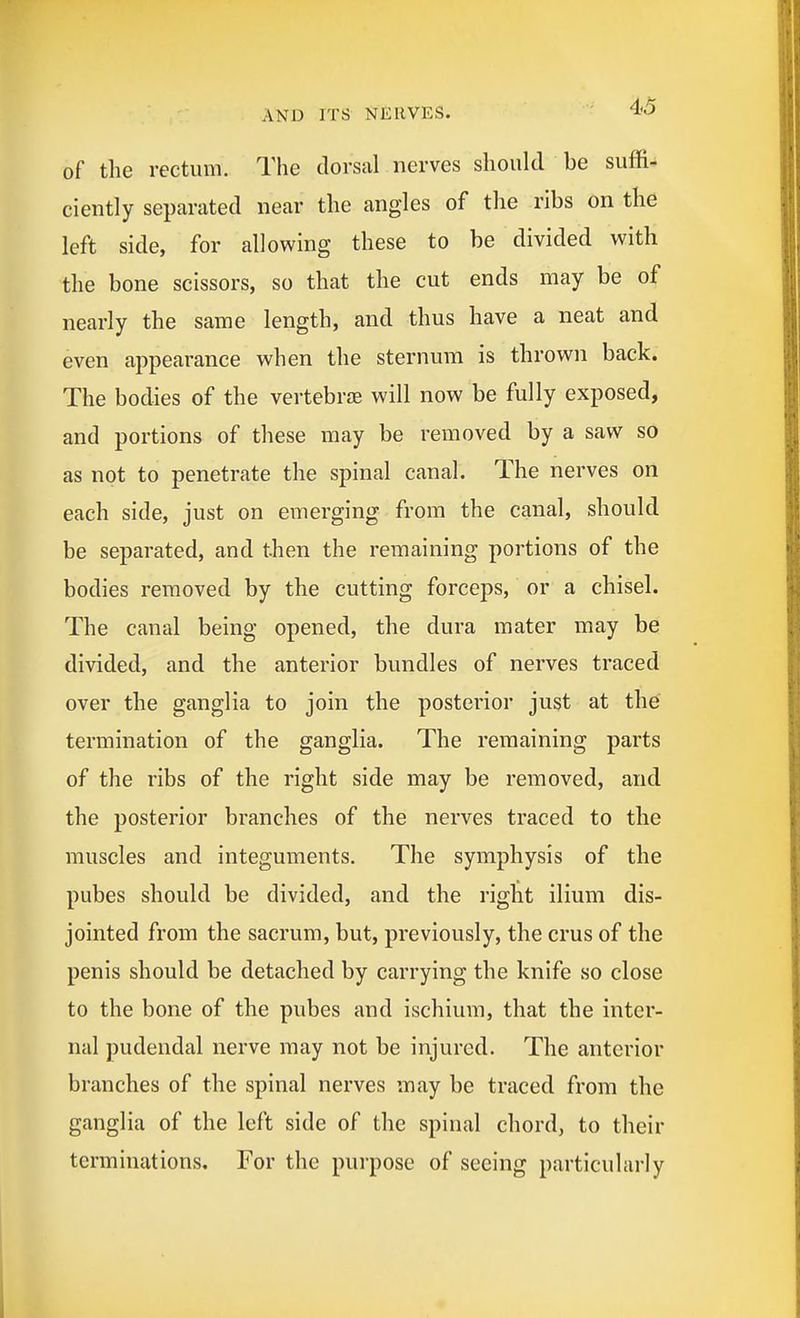 of tlie rectum. The dorsal nerves should be suffi- ciently separated near the angles of the ribs on the left side, for allowing these to be divided with the bone scissors, so that the cut ends may be of nearly the same length, and thus have a neat and even appearance when the sternum is thrown back. The bodies of the vertebrae will now be fully exposed, and portions of these may be removed by a saw so as not to penetrate the spinal canal. The nerves on each side, just on emerging from the canal, should be separated, and then the remaining portions of the bodies removed by the cutting forceps, or a chisel. The canal being opened, the dura mater may be divided, and the anterior bundles of nerves traced over the ganglia to join the posterior just at the termination of the ganglia. The remaining parts of the ribs of the right side may be removed, and the posterior branches of the nerves traced to the muscles and integuments. The symphysis of the pubes should be divided, and the right ilium dis- jointed from the sacrum, but, previously, the crus of the penis should be detached by carrying the knife so close to the bone of the pvibes and ischium, that the inter- nal pudendal nerve may not be injured. The anterior branches of the spinal nerves may be traced from the ganglia of the left side of the spinal chord, to their terminations. For the purpose of seeing particularly