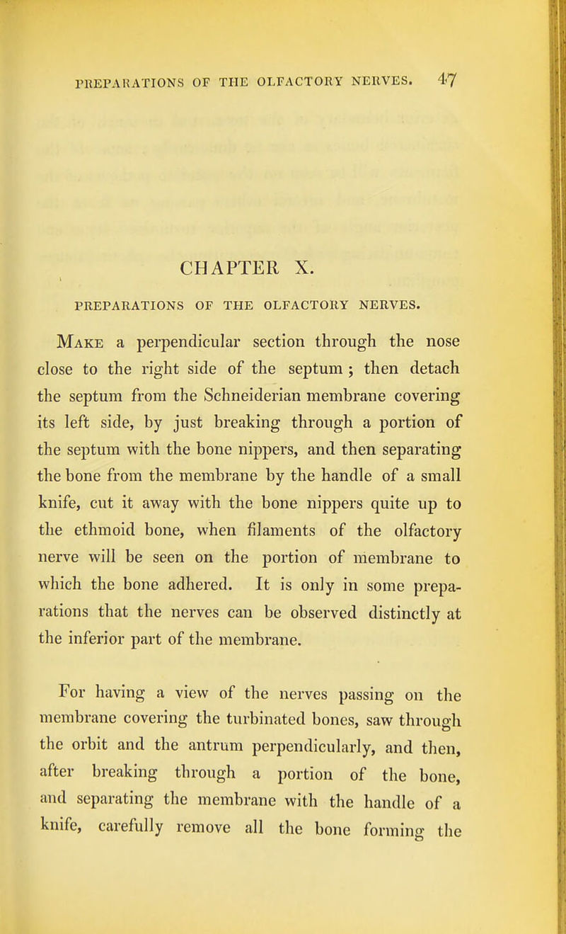 CHAPTER X. t PREPARATIONS OF THE OLFACTORY NERVES. Make a perpendicular section through the nose close to the right side of the septum ; then detach the septum from the Schneiderian membrane covering its left side, by just breaking through a portion of the septum with the bone nippers, and then separating the bone from the membrane by the handle of a small knife, cut it away with the bone nippers quite up to the ethmoid bone, when filaments of the olfactory nerve will be seen on the portion of membrane to which the bone adhered. It is only in some prepa- rations that the nerves can be observed distinctly at the inferior part of the membrane. For having a view of the nerves passing on the membrane covering the turbinated bones, saw through the orbit and the antrum perpendicularly, and then, after breaking through a portion of the bone, and separating the membrane with the handle of a knife, carefully remove all the bone forming the