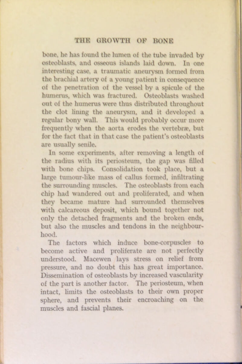 bone, he has found the lumen of the tube invaded by osteoblasts, and osseous islands laid down. In one interesting case, a traumatic aneurysm formed from the brachial artery of a young patient in consequence of the penetration of the vessel by a spicule of the humerus, which was fractured. Osteoblasts washed out of the humerus were thus distributed throughout the clot lining the aneurysm, and it developed a regular bony wall. This would probably occur more frequently when the aorta erodes the vertebra*, but for the fact that in that case the patient’s osteoblasts are usually senile. In some experiments, after removing a length of the radius with its periosteum, the gap was tilled with bone chips. Consolidation took place, but a large tumour-like mass of callus formed, infiltrating the surrounding muscles. The osteoblasts from each chip had wandered out and proliferated, and when they became mature had surrounded themselves with calcareous deposit, which bound together not only the detached fragments and the broken ends, but also the muscles and tendons in the neighbour- hood. The factors which induce bone-corpuscles to become active and proliferate are not perfectly understood. Mace wen lays stress on relief from pressure, and no doubt this has great importance. Dissemination of osteoblasts bv increased vascularity of the part is another factor. The periosteum, when intact, limits the osteoblasts to their own proper sphere, and prevents their encroaching on the muscles and fascial planes.