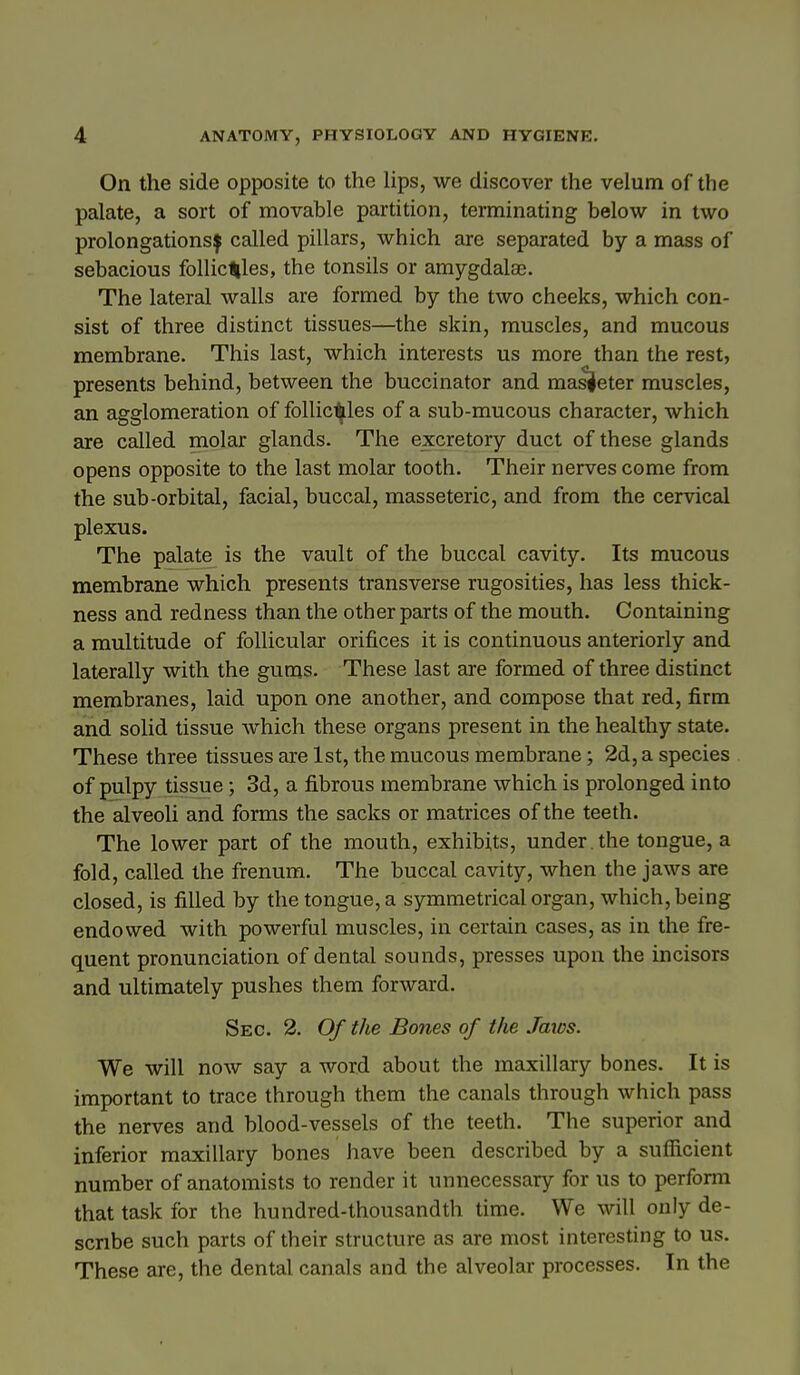 On the side opposite to the lips, we discover the velum of the palate, a sort of movable partition, terminating below in two prolongations! called pillars, which are separated by a mass of sebacious follic^les, the tonsils or amygdala. The lateral walls are formed by the two cheeks, which con- sist of three distinct tissues—the skin, muscles, and mucous membrane. This last, which interests us more than the rest, presents behind, between the buccinator and mas^eter muscles, an agglomeration of foUic^les of a sub-mucous character, which are called molar glands. The excretory duct of these glands opens opposite to the last molar tooth. Their nerves come from the sub-orbital, facial, buccal, masseteric, and from the cervical plexus. The palate is the vault of the buccal cavity. Its mucous membrane which presents transverse rugosities, has less thick- ness and redness than the other parts of the mouth. Containing a multitude of follicular orifices it is continuous anteriorly and laterally with the gums. These last are formed of three distinct membranes, laid upon one another, and compose that red, firm and solid tissue which these organs present in the healthy state. These three tissues are 1st, the mucous membrane; 2d, a species of pulpy tissue; 3d, a fibrous membrane which is prolonged into the alveoli and forms the sacks or matrices of the teeth. The lower part of the mouth, exhibits, under, the tongue, a fold, called the frenum. The buccal cavity, when the jaws are closed, is filled by the tongue, a symmetrical organ, which, being endowed with powerful muscles, in certain cases, as in the fre- quent pronunciation of dental sounds, presses upon the incisors and ultimately pushes them forAvard. Sec. 2. Of the Bones of the Jaws. We will now say a word about the maxillary bones. It is important to trace through them the canals through which pass the nerves and blood-vessels of the teeth. The superior and inferior maxillary bones have been described by a sufficient number of anatomists to render it unnecessary for us to perfonn that task for the hundred-thousandth time. We will only de- scribe such parts of their structure as are most interesting to us. These are, the dental canals and the alveolar processes. In the