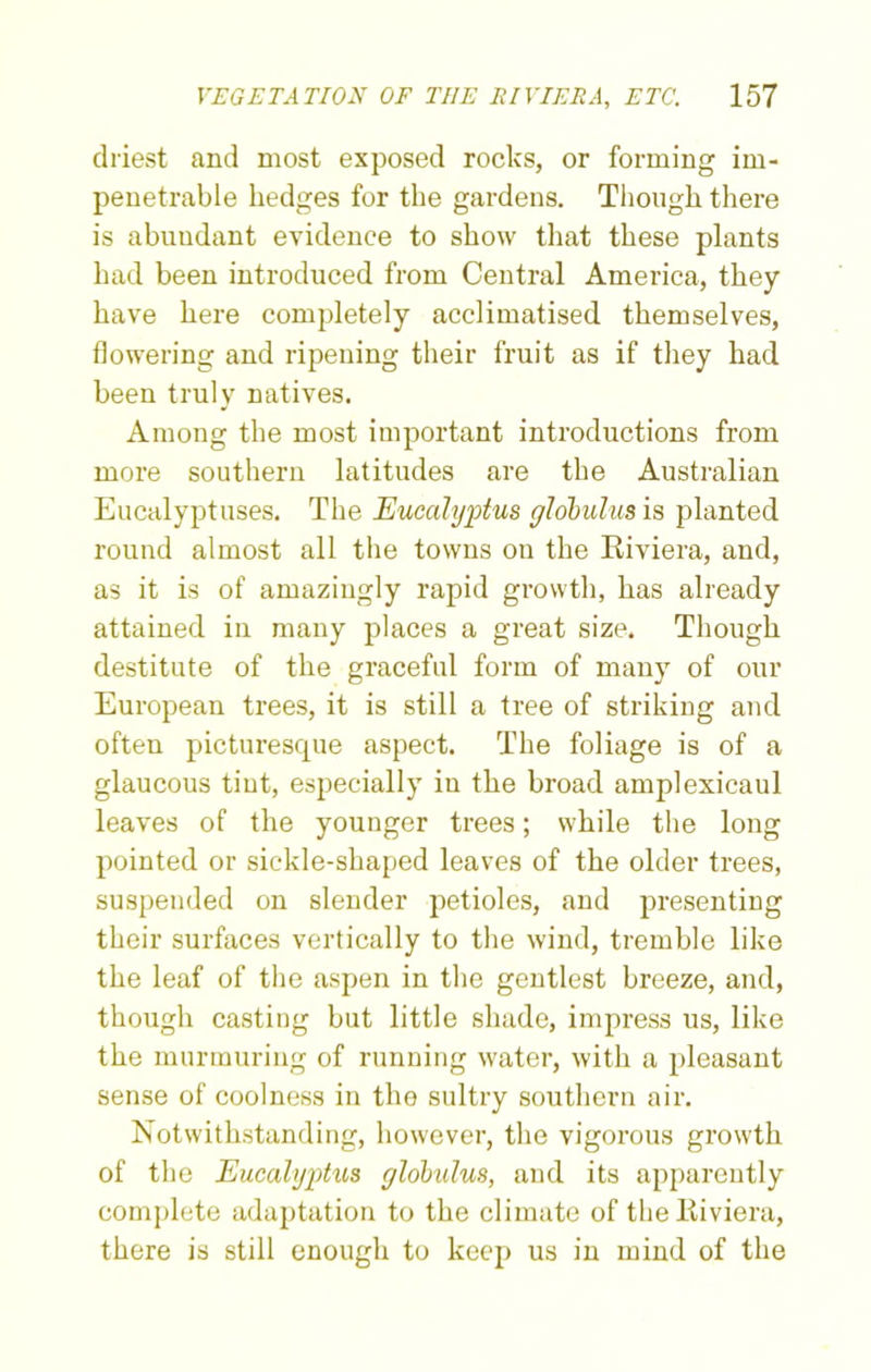 driest and most exposed rocks, or forming im- penetrable hedges for the gardens. Though there is abundant evidence to show that these plants had been introduced from Central America, they have here completely acclimatised themselves, flowering and ripening their fruit as if they had been truly natives. Among the most important introductions from more southern latitudes are the Australian Eucalyptuses. The Eucalyptus globulus is planted round almost all the towns on the Riviera, and, as it is of amazingly rapid growth, has already attained in many places a great size. Though destitute of the graceful form of many of our European trees, it is still a tree of striking and often picturesque aspect. The foliage is of a glaucous tint, especially in the broad amplexicaul leaves of the younger trees; while the long pointed or sickle-shaped leaves of the older trees, suspended on slender petioles, and presenting their surfaces vertically to the wind, tremble like the leaf of the aspen in the gentlest breeze, and, though casting but little shade, impress us, like the murmuring of running water, with a pleasant sense of coolness in the sultry southern air. Notwithstanding, however, the vigorous growth of the Eucalyptus globulus, and its apparently complete adaptation to the climate of the Riviera, there is still enough to keep us in mind of the