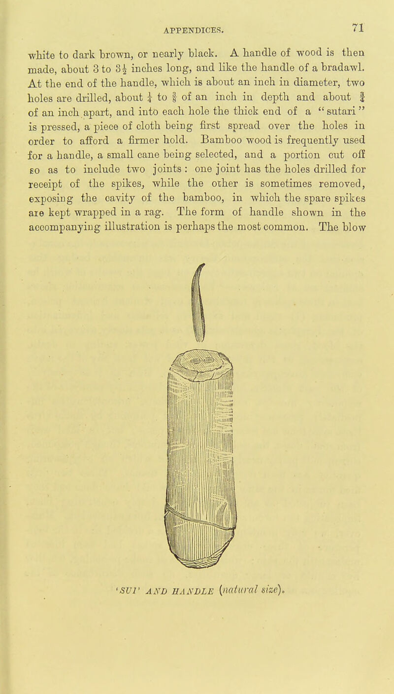 white to dark brown, or nearly black. A handle of wood is then made, about 3 to 3£ inches long, and like the handle of a bradawl. At the end of the handle, which is about an inch in diameter, two holes are drilled, about i to | of an inch in depth and about | of an inch apart, and into each hole the thick end of a  sutari  is pressed, a piece of cloth being first spread over the holes in order to afford a firmer hold. Bamboo wood is frequently used for a handle, a small cane being selected, and a portion cut off go as to include two joints : one joint has the holes drilled for receipt of the spikes, while the other is sometimes removed, exposing the cavity of the bamboo, in which the spare spikes aie kept wrapped in a rag. The form of handle shown in the accompanying illustration is perhaps the most common. The blow 'sur axd handle {natural size).