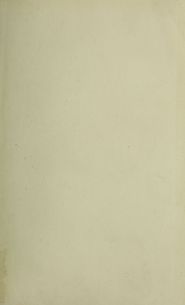 digitised image 3