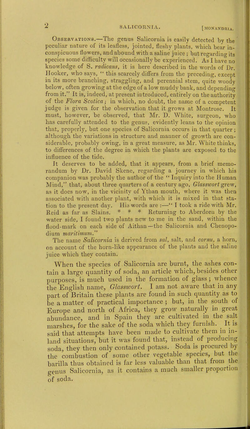 SALICORNIA. [siON-ANDaiA. Observations.—The genus Salicornia is easily detected by the peculiar nature of its leafless, jointed, fleshy plants, which bear in- conspicuous flowers, and abound with a saline juice ; but regarding its species some difficulty will occasionally be experienced. As I have no knowledge of S. radicans, it is here described in the words of Dr. Hooker, who says,  this scarcely differs from the preceding, except in its more branching, straggling, and perennial stem, quite woody below, often growing at the edge of a low muddy bank, and depending from it. It is, indeed, at present introduced, entirely on the authority of the Flora Scotica; in which, no doubt, the name of a competent judge is given for the observation that it grows at Montrose. It must, however, be observed, that Mr. D. White, surgeon, who has carefully attended to the genus, evidently leans to the opinion that, properly, but one species of Salicornia occurs in that quarter; although the variations in structure and manner of growth are con- siderable, probably owing, in a great measure, as Mr. White thinks, to differences of the degree in which the plants are exposed to the influence of the tide. It deserves to be added, that it aj)pears, from a brief memo- randum by Dr. David Skene, regarding a journey in which his companion was probably the author of the  Inquiry into the Human Mind, that, about three quarters of a century ago, Glasswort grew, as it does now, in the vicinity of Ythan mouth, where it was then associated with another plant, with which it is mixed in that sta- tion to the present day. His words are :— I took a ride with Mr. Reid as far as Slains. * * * Returning to Aberdeen by the water side, I found two plants new to me in the sand, within the flood-mark on each side of Aithan —the Salicornia and Chenopo- dium maritimum. The name Salicornia is derived from sal, salt, and corm, a horn, on account of the horn-like appearance of the plants and the saline juice which they contain. When the species of Salicornia are burnt, the ashes con- tain a large quantity of soda, an article which, besides other purposes, is much used in the formation of glass; whence the English name, Glasswort. I am not aware that in any part of Britain these plants are found in such quantity as to be a matter of practical importance ; but, in the south of Europe and north of Africa, they grow naturally in great abundance, and in Spain they are cultivated in the salt marshes, for the sake of the soda which they furnish. It is said that attempts have been made to cultivate them in in- land situations, but it was found that, instead of producing soda, they then only contained potass. Soda is procured by the combustion of some other vegetable species, but the barilla thus obtained is far less valuable than that from the genus Salicornia, as it contains a much smaller proportion of soda.