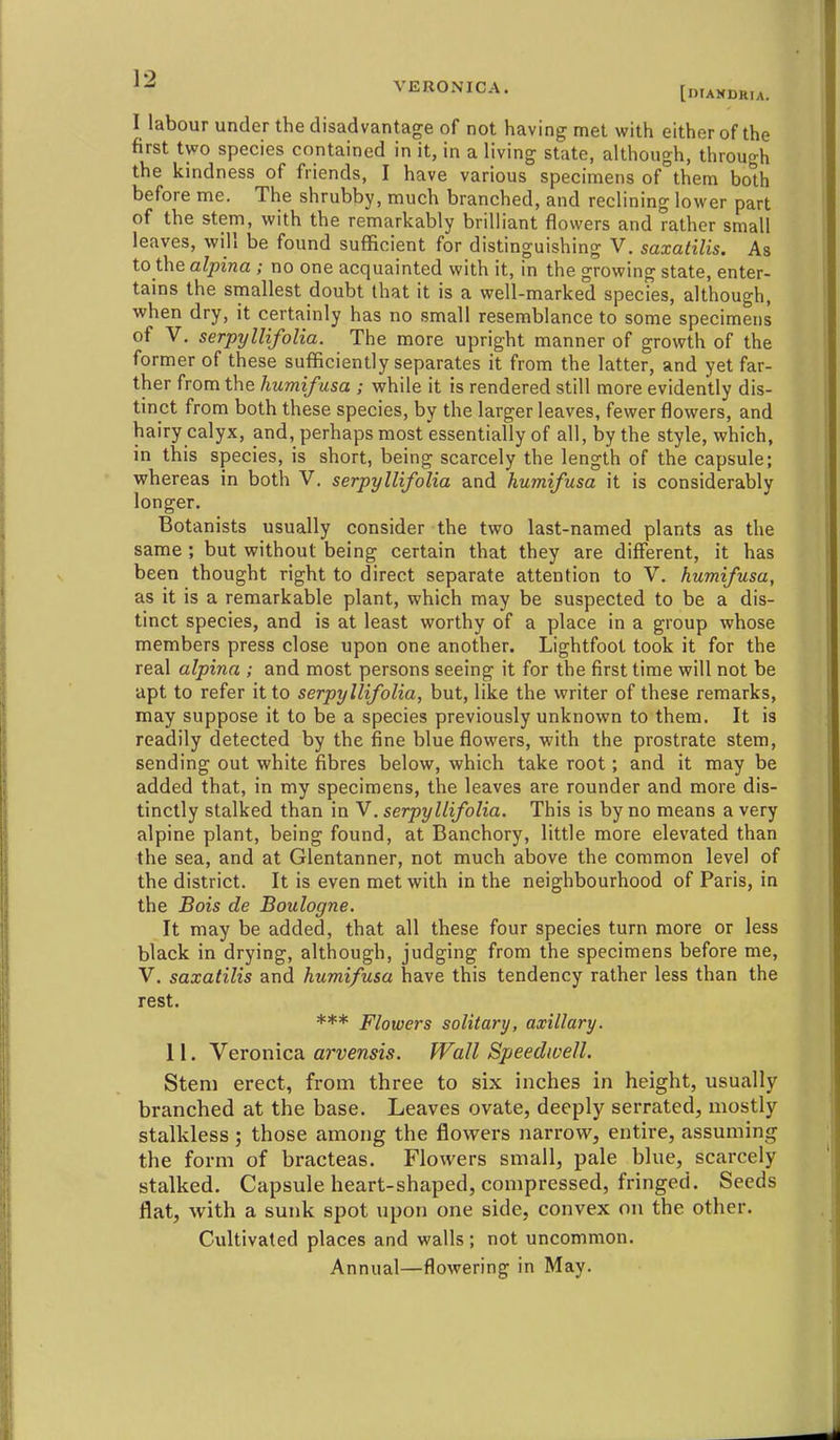 VERONICA. [DIANDRU. I labour under the disadvantage of not having met with either of the first two species contained in it, in a living state, although, through the kindness of friends, I have various specimens of them bo'th before me. The shrubby, much branched, and reclining lower part of the stem, with the remarkably brilliant flowers and rather small leaves, will be found sufficient for distinguishing V. saxatilis. As to the alpina ; no one acquainted with it, in the growing state, enter- tains the smallest doubt that it is a well-marked species, although, when dry, it certainly has no small resemblance to some specimens of V. serpyllifolia. The more upright manner of growth of the former of these sufficiently separates it from the latter, and yet far- ther from the humifusa ; while it is rendered still more evidently dis- tinct from both these species, by the larger leaves, fewer flowers, and hairy calyx, and, perhaps most essentially of all, by the style, which, in this species, is short, being scarcely the length of the capsule; whereas in both V. serpyllifolia and humifusa it is considerably longer. Botanists usually consider the two last-named plants as the same ; but without being certain that they are different, it has been thought right to direct separate attention to V. humifusa, as it is a remarkable plant, which may be suspected to be a dis- tinct species, and is at least worthy of a place in a group whose members press close upon one another. Lightfoot took it for the real alpina ; and most persons seeing it for the first time will not be apt to refer it to serpyllifolia, but, like the writer of these remarks, may suppose it to be a species previously unknown to them. It is readily detected by the fine blue flowers, with the prostrate stem, sending out white fibres below, which take root; and it may be added that, in my specimens, the leaves are rounder and more dis- tinctly stalked than in V. serpyllifolia. This is by no means a very alpine plant, being found, at Banchory, little more elevated than the sea, and at Glentanner, not much above the common level of the district. It is even met with in the neighbourhood of Paris, in the Bois de Boulogne. It may be added, that all these four species turn more or less black in drying, although, judging from the specimens before me, V. saxatilis and humifusa have this tendency rather less than the rest. *** Flowers solitary, axillary. 11. Veronica arvensis. Wall Speedwell. Stem erect, from three to six inches in height, usually branched at the base. Leaves ovate, deeply serrated, mostly stalkless ; those among the flowers narrow, entire, assuming the form of bracteas. Flowers small, pale blue, scarcely stalked. Capsule heart-shaped, compressed, fringed. Seeds flat, with a sunk spot upon one side, convex on the other. Cultivated places and walls; not uncommon.