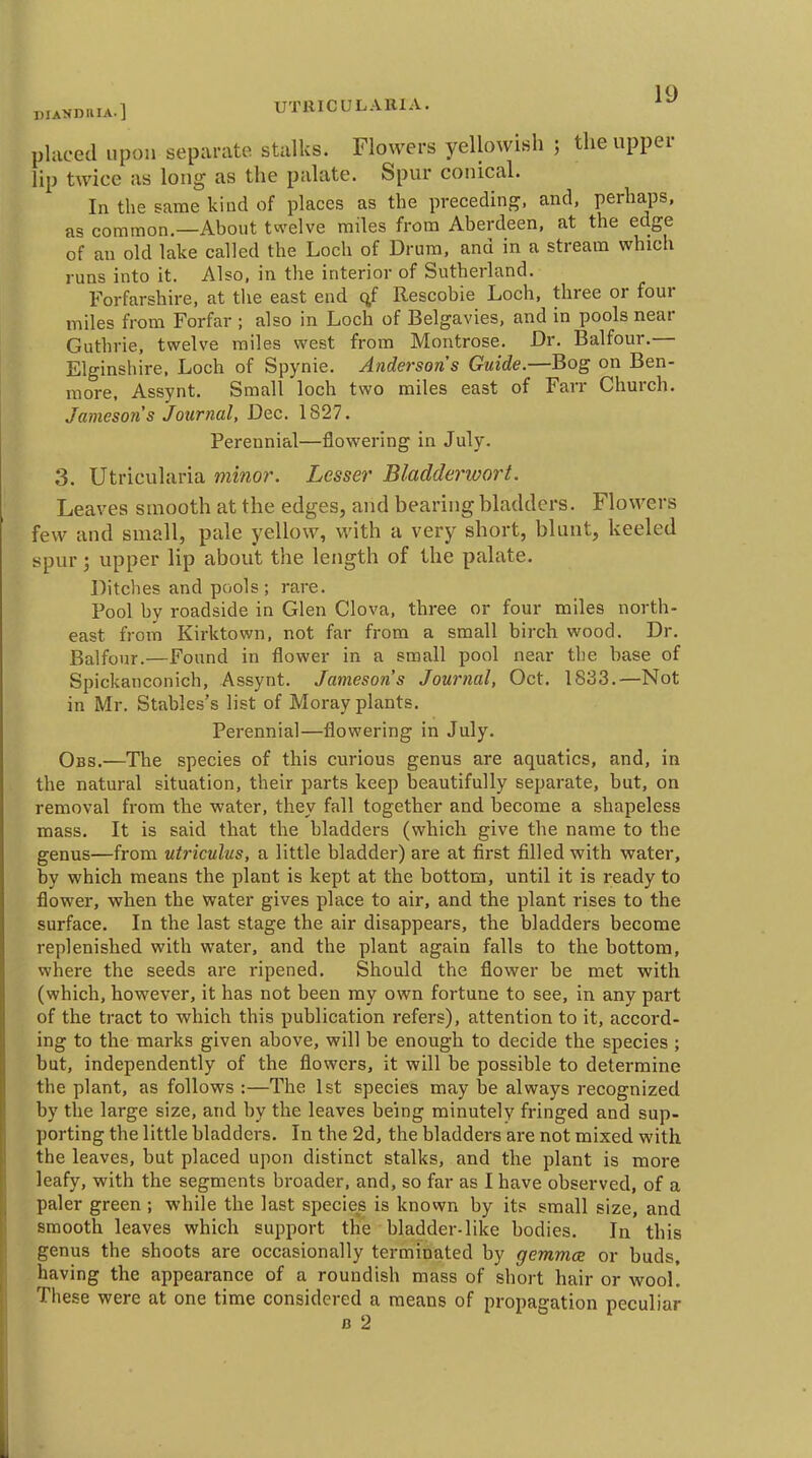 niAKD.UA.] U'flllCULARIA. placed upon separate stalks. Flowers yellowish ; the upper lip twice as long as the palate. Spur conical. In the same kind of places as the preceding, and, perhaps, as common.—About twelve miles from Aberdeen, at the edge of an old lake called the Loch of Drum, and in a stream which runs into it. Also, in the interior of Sutherland. Forfarshire, at the east end qf Rescobie Loch, three or four miles from Forfar ; also in Loch of Belgavies, and in pools near Guthrie, twelve miles west from Montrose. Dr. Balfour.— Elginshire, Loch of Spynie. Andersons Guide.—Bog on Ben- more, Assynt. Small loch two miles east of Farr Church. Jameson s Journal, Dec. 1827. Perennial—flowering in July. 3. Utricularia minor. Lesser Bladdey-wort. Leaves smooth at the edges, and bearing bladders. Flowers few and small, pale yellow, with a very short, blunt, keeled spur; upper lip about the length of the palate. Ditches and pools ; rare. Pool by roadside in Glen Clova, three or four miles north- east from Kirktown, not far from a small birch wood. Dr. Balfour.—Found in flower in a small pool near the base of Spickanconich, Assynt. Jameson's Journal, Oct. 1833.—Not in Mr. Stables's list of Moray plants. Perennial—flowering in July. Obs.—The species of this curious genus are aquatics, and, in the natural situation, their parts keep beautifully separate, but, on removal from the water, they fall together and become a shapeless mass. It is said that the bladders (which give the name to the genus—from utriculus, a little bladder) are at first filled with water, by which means the plant is kept at the bottom, until it is ready to flower, when the water gives place to air, and the plant rises to the surface. In the last stage the air disappears, the bladders become replenished with water, and the plant again falls to the bottom, where the seeds are ripened. Should the flower be met with (which, however, it has not been my own fortune to see, in any part of the tract to which this publication refers), attention to it, accord- ing to the marks given above, will be enough to decide the species ; but, independently of the flowers, it will be possible to determine the plant, as follows :—The 1st species may be always recognized by the large size, and by the leaves being minutely fringed and sup- porting the little bladders. In the 2d, the bladders are not mixed with the leaves, but placed upon distinct stalks, and the plant is more leafy, with the segments broader, and, so far as I have observed, of a paler green ; while the last species is known by its small size, and smooth leaves which support the bladder-like bodies. In this genus the shoots are occasionally terminated by gemmce or buds, having the appearance of a roundish mass of short hair or wool. These were at one time considered a means of propagation peculiar