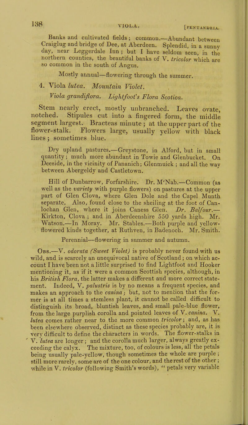 VIOLA. [PENTANDKIA. Banks and cultivated fields ; common.—Abundant between Craiglug and bridge of Dee, at Aberdeen. Splendid, in a sunny day, near Leggerdale Inn ; but I have seldom seen, in the northern counties, the beautiful banks of V. tricolor which are so common in the south of Angus. Mostly annual—flowering through the summer. 4. Viola lutea. Mountain Violet. Viola grandiflora. Lightfoofs Flora Scotica. Stem nearly erect, mostly unbranched. Leaves ovate, notched. Stipules cut into a fingered form, the middle segment largest. Bracteas minute; at the upper part of the flower-stalk. Flovrers large, usually yellow with black lines; sometimes blue. Dry upland pastures.—Greystone, in Alford, but in small quantity; much more abundant in Towie and Glenbucket. On Deeside, in the vicinity of Pananich; Glenrauick ; and all the way between Abergeldy and Castletown. Hill of Dunbarrow, Forfarshire. Dr. M'Nab.—Common (as well as the variety with purple flowers) on pastures at the upper part of Glen Clova, where Glen Dole and the Capel Munth separate. Also, found close to the sheiling at the foot of Can- lochan Glen, where it joins Caness Glen. Dr. Balfour.— Kirkton, Clova ; and in Aberdeenshire 550 yards high. Mr. Watson.—In Moray. Mr. Stables.—Both purple and yellow- flowered kinds together, at Ruthven, in Badenoch. Mr. Smith. Perennial—flowering in summer and autumn. Obs.—V. odorata (Sweet Violet) is probably never found with us •wild, and is scarcely an unequivocal native of Scotland ; on which ac- count I have been not a little surprised to find Lightfoot and Hooker mentioning it, as if it were a common Scottish species, although, in his British Flora, the latter makes a diflferent and more correct state- ment. Indeed, V. palustris is by no means a frequent species, and makes an approach to the canina; but, not to mention that the for- mer is at all times a stemless plant, it cannot be called difficult to distinguish its broad, bluntish leaves, and small pale-blue flower, from the large purplish corolla and pointed leaves of V. canina. V. lutea comes rather near to the more common tricolor; and, as has been elsewhere observed, distinct as these species probably are, it is very difficult to define the characters in words. The flower-stalks in ' V. lutea are longer; and the corolla much larger, always greatly ex- ceeding the calyx. The mixture, too, of colours is less, all the petals being usually pale-yellow, though sometimes the whole are purple ; still more rarely, some are of the one colour, and the rest of the other; while in V. tricolor (following Smith's words),  petals very variable