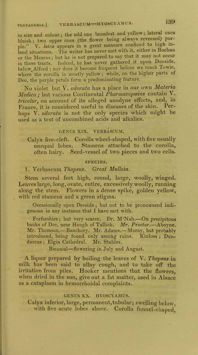 rKN'l'AKUHlA. J VERBASCaM HYOSCYAMUS. in size and colour; tlie odd one broadest and yellow ; lateral ones bluish; two upper ones (the flower being always reversed) pur- ple. V. lutea appears in a great measure confined to high in- land situations. The writer has never met with it, either in Buchan or the Mearns; but he is not prepared to say that it may not occur in these tracts. Indeed, he has never gathered it upon Donside. below^Alford ; nor does it become frequent before we reach Towie, where' the corolla is mostly yellow; while, on the higher parts of Dee, the purple petals form a predominating feature. No violet but V. odorata has a place in our own Materia Medica ; but various Continental Pharmacopoeias contain V. tricolor^ on account of its alleged anodyne effects, and, in France, it is considered useful in diseases of the skin. Per- haps V. odorata is not the only species which might be used as a test of uncombined acids and alkalies. GENUS XIX. VERBASCUM. Calyx five-cleft. Corolla wheel-shaped, with five usually unequal lobes. Stamens attached to the corolla, often hairy. Seed-vessel of two pieces and two cells. SPECIES. I. Verbascum Thapsus. Great Mullein. Stem several feet high, round, large, woolly, winged. Leaves lai'ge, long, ovate, entire, excessively woolly, running along the stem. Flowers in a dense spike, golden yellow, with red stamens and a green stigma. Occasionally upon Deeside; but not to be pronounced indi- genous in any instance that I have met with. Forfarshire; but very scarce. Dr. M'Nab.—On precipitous banks of Dee, near Haugh of Tullich. Mr. Proctor.—Aboyne. Mr. Thomson.—Banchory. Mr. Adams.—Moray, but probably introduced, being found only among ruins. Kinloss ; Dun- durcus ; Elgin Cathedral. Mr. Stables. Biennial—flowering in July and August. A liquor prepared by boiling the leaves of V. Thapsus in milk has been said to allay cough, and to take off the irritation from piles. Hooker mentions that the flowers, when dried in the sun, give out a fat matter, used in Alsace as a cataplasm in hemorrhoidal complaints. GENUS XX. HYOSCYAMUS. Calyx inferior, large, permanent,tubular; swelling below, with five acute lobes above. Corolla funnel-shaped,