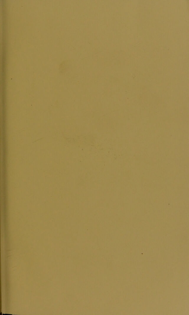 digitised image 3