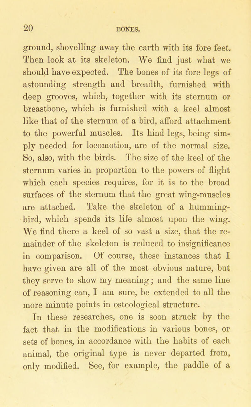 ground, shovelling away the earth with its fore feet. Then look at its skeleton. We find just what we should have expected. The bones of its fore legs of astounding strength and breadth, furnished with deep grooves, which, together with its sternum or breastbone, which is furnished with a keel almost like that of the sternum of a bird, afford attachment to the powerful muscles. Its hind legs, being sim- ply needed for locomotion, are of the normal size. So, also, with the birds. The size of the keel of the sternum varies in proportion to the powers of flight which each species requires, for it is to the broad surfaces of the sternum that the great wing-muscles are attached. Take the skeleton of a humming- bird, which spends its life almost upon the wing. We find there a keel of so vast a size, that the re- mainder of the skeleton is reduced to insignificance in comparison. Of course, these instances that I have given are all of the most obvious nature, but they serve to show my meaning; and the same line of reasoning can, I am sure, be extended to all the more minute points in osteological structure. In these researches, one is soon struck by the fact that in the modifications in various bones, or sets of bones, in accordance with the habits of each animal, the original type is never departed from, only modified. See, for example, the paddle of a